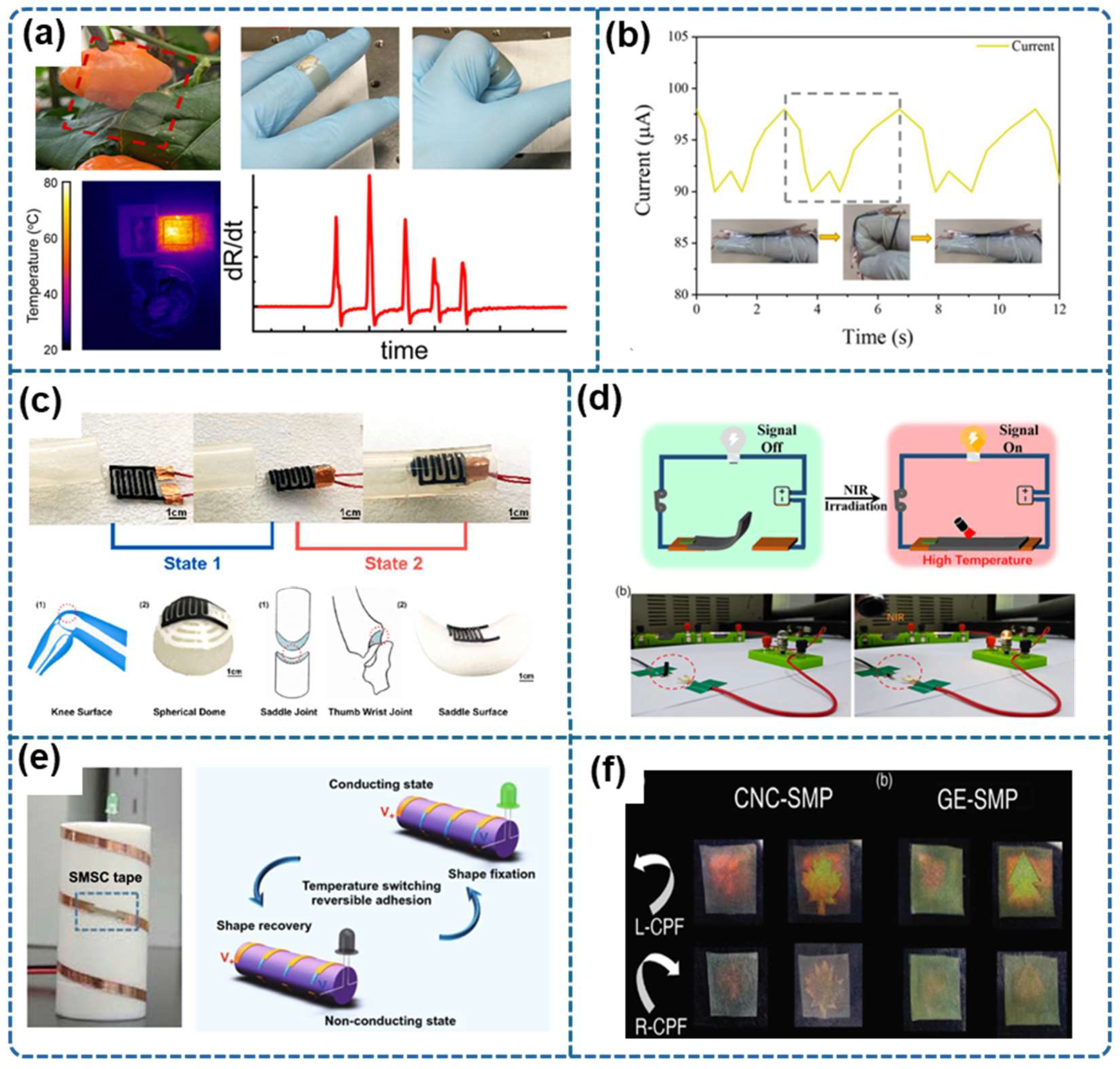Applsci 15 02419 g028