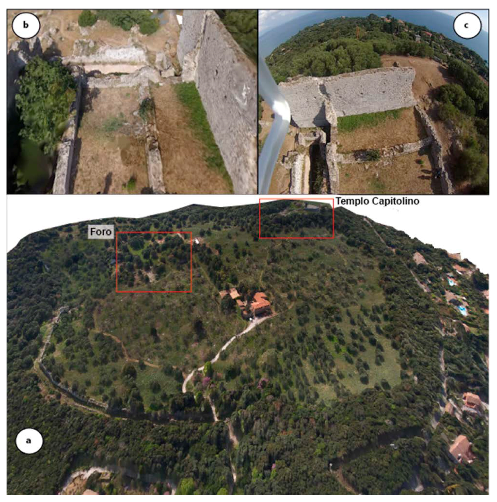 Applsci 15 02495 g013