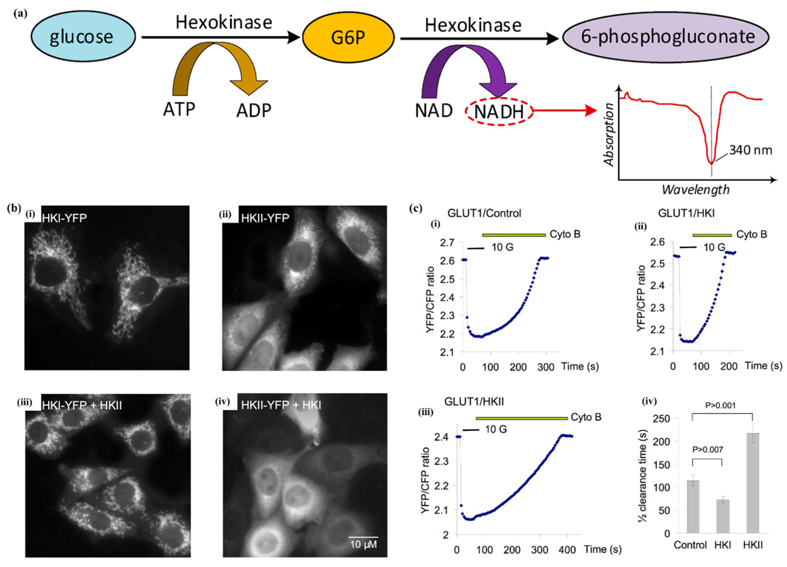 Applsci 15 02523 g003