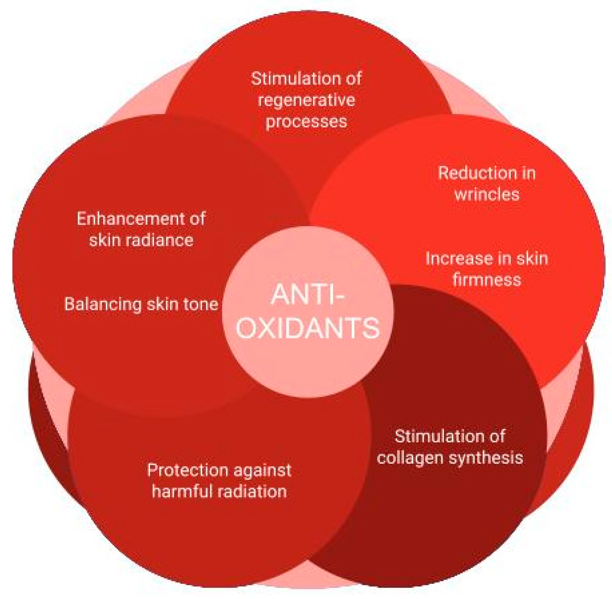 Applsci 15 02571 g001 Applsci 15 02571 g001