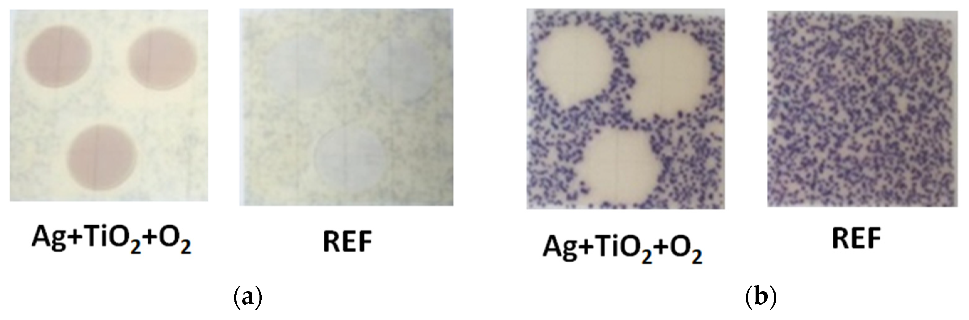 Applsci 15 02599 g008