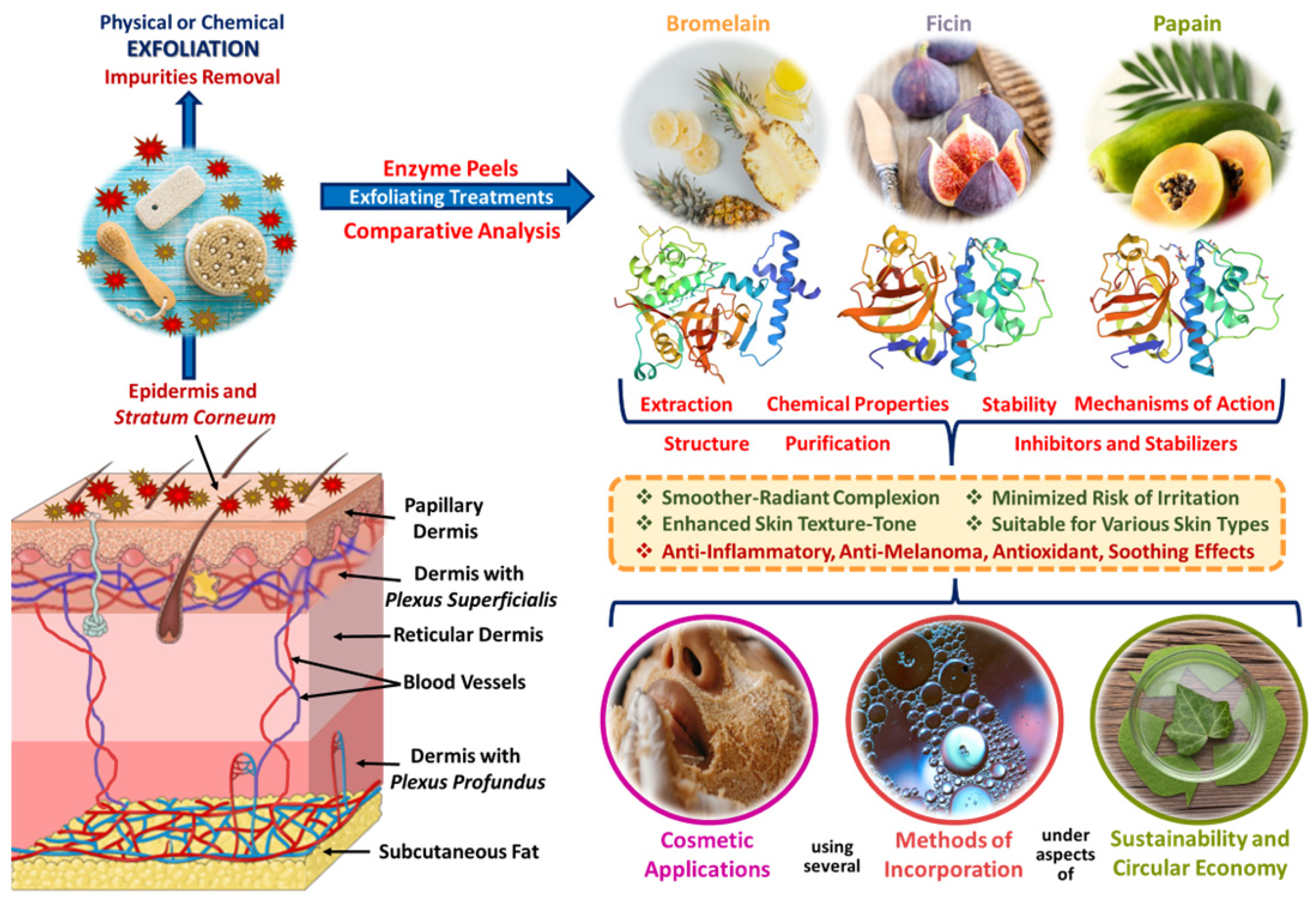 Applsci 15 02637 g001