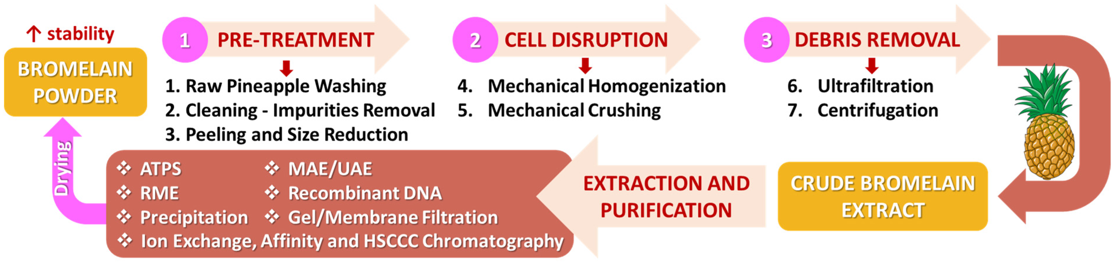 Applsci 15 02637 g003