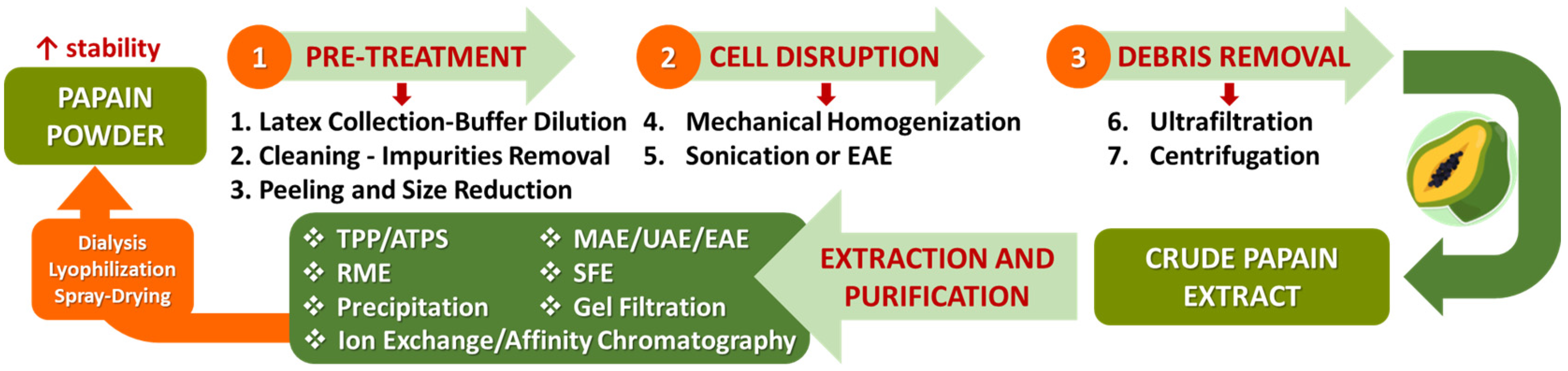 Applsci 15 02637 g005