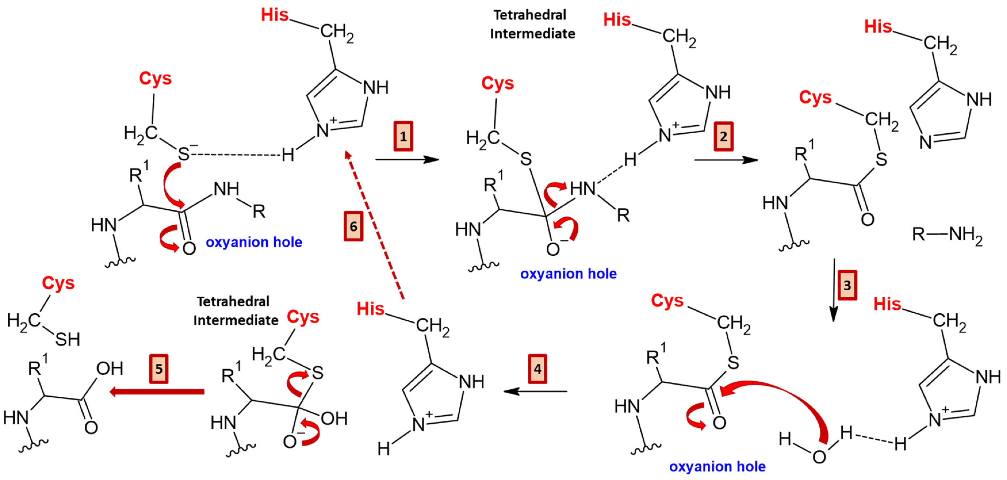 Applsci 15 02637 g006