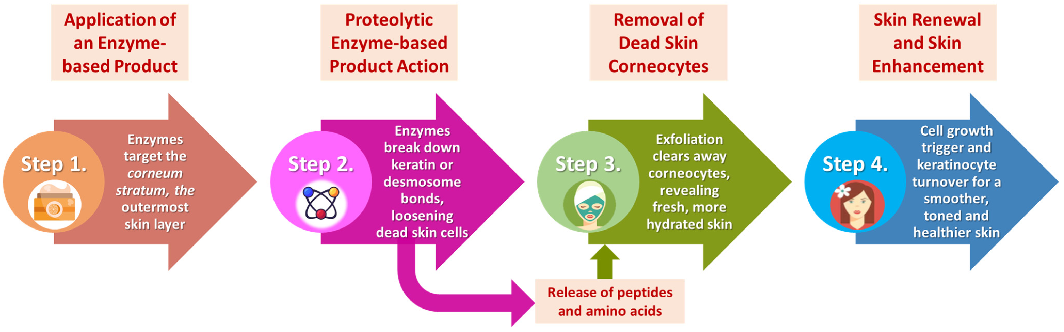 Applsci 15 02637 g007