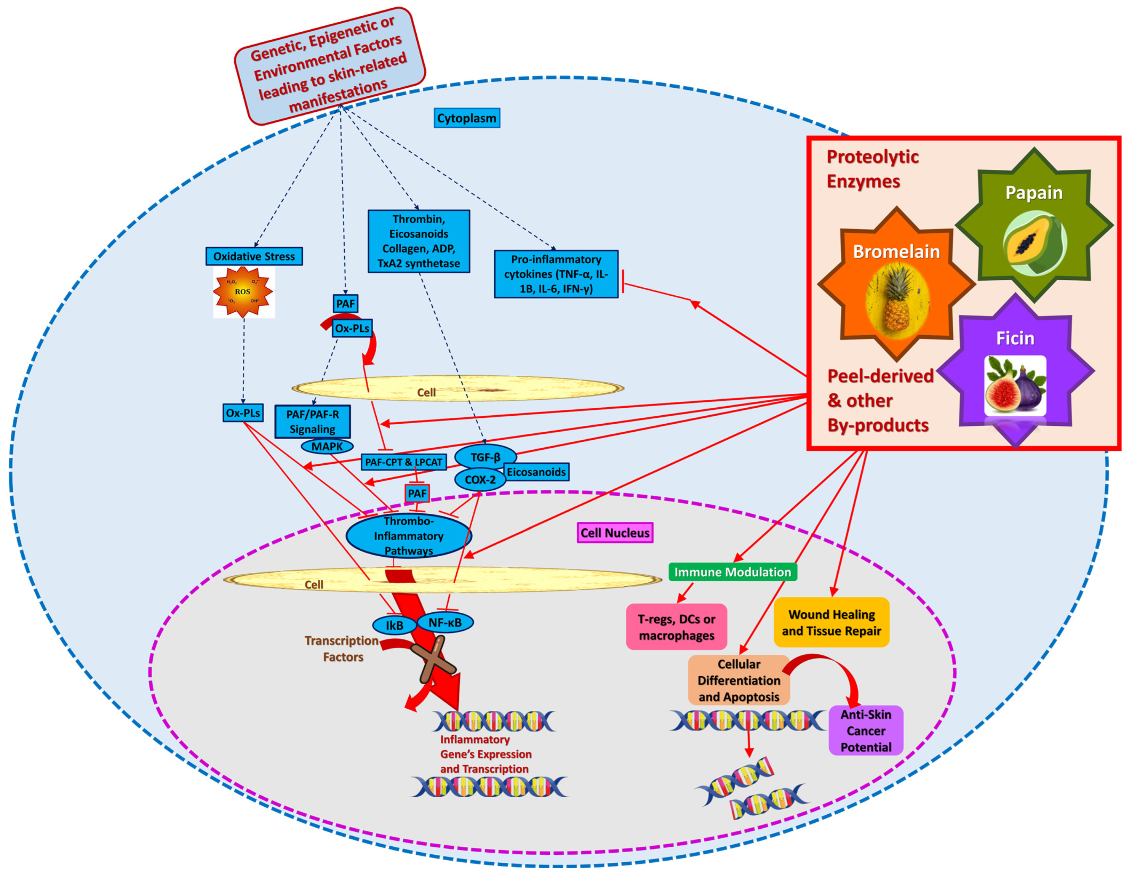 Applsci 15 02637 g008