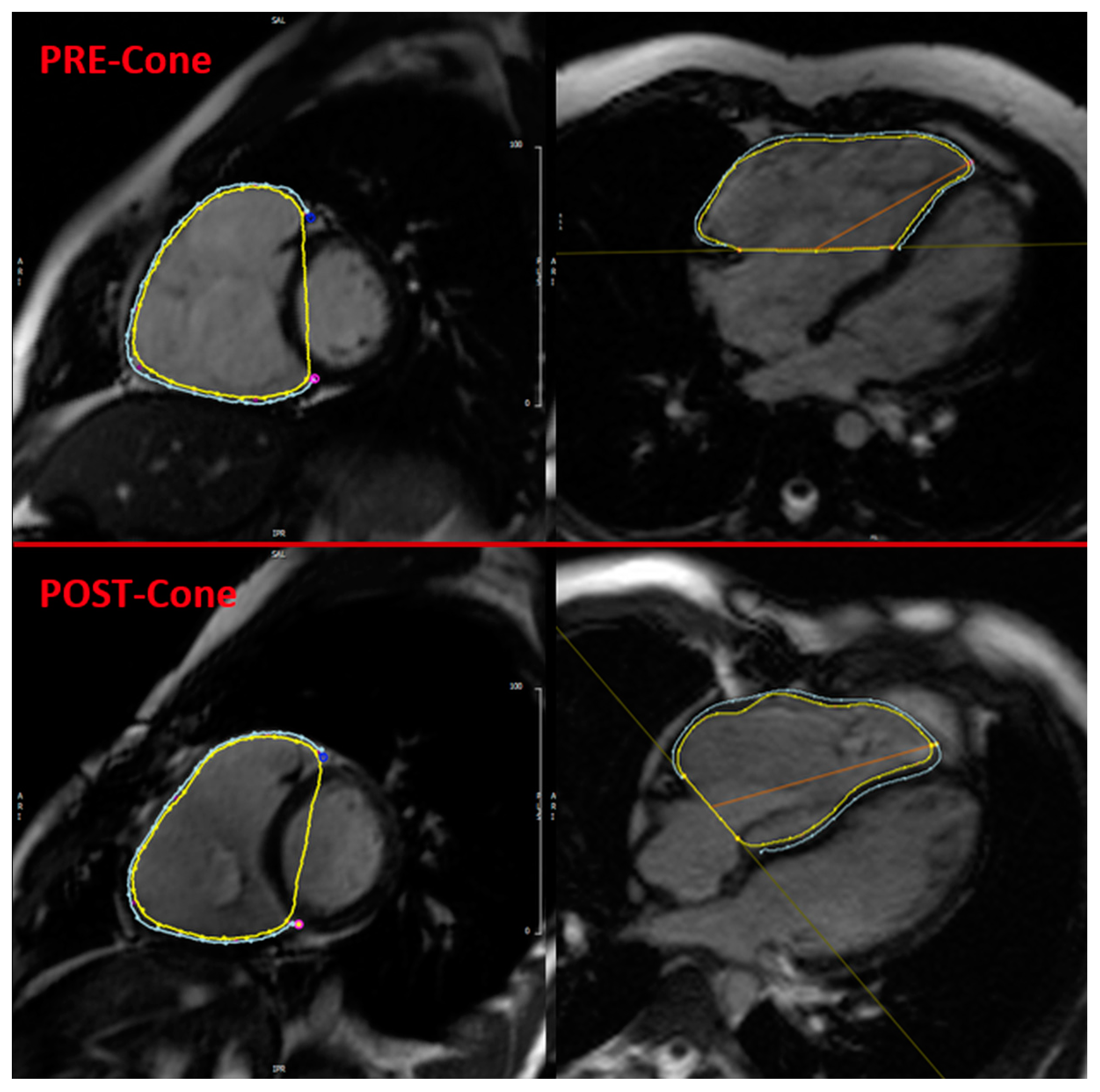 Applsci 15 02659 g001