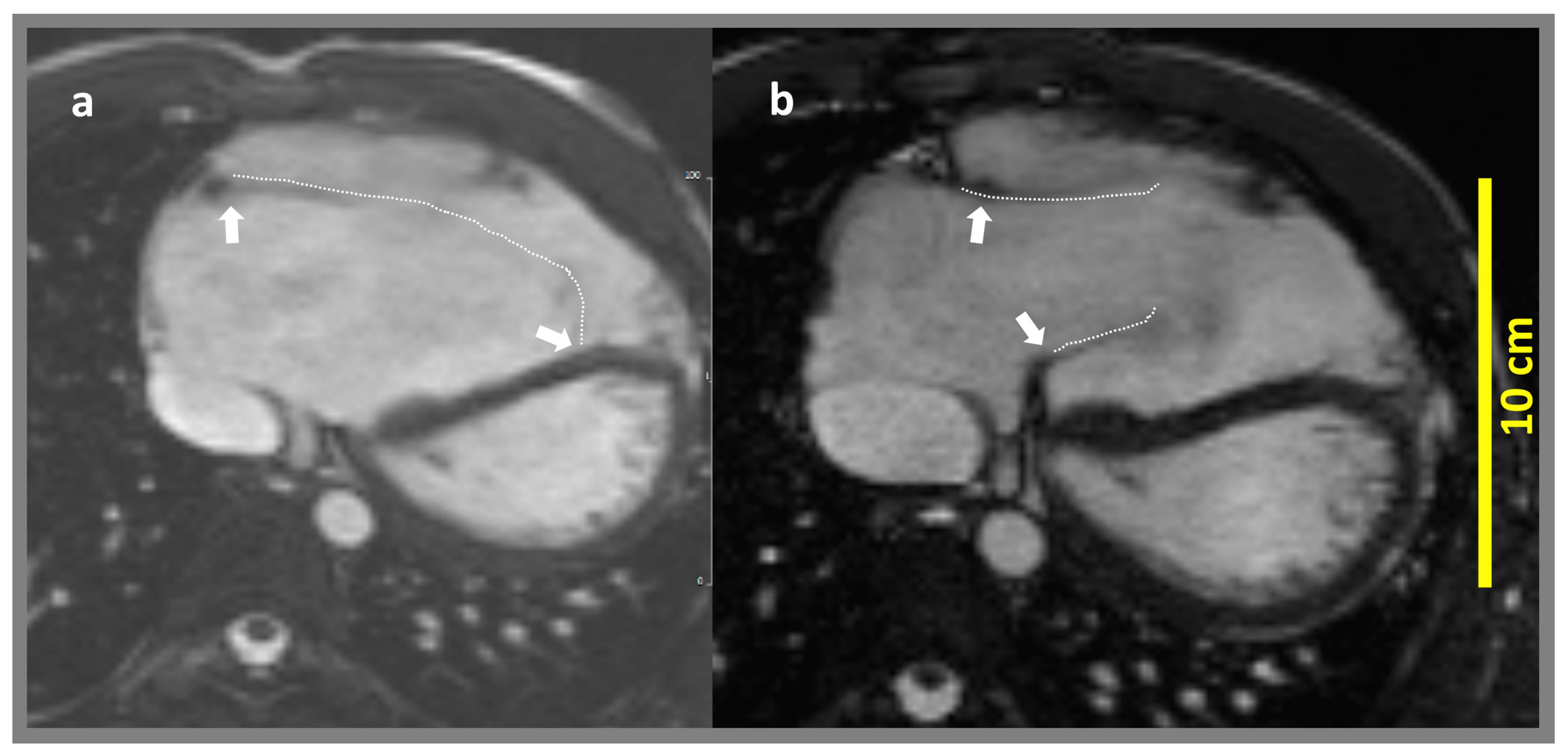 Applsci 15 02659 g003
