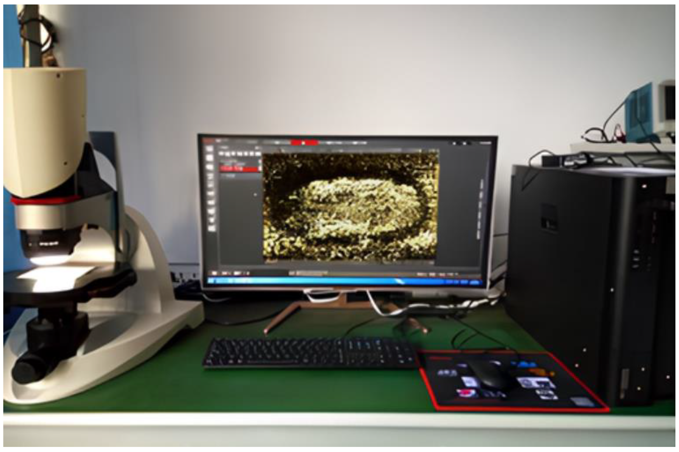 Applsci 15 02842 g021