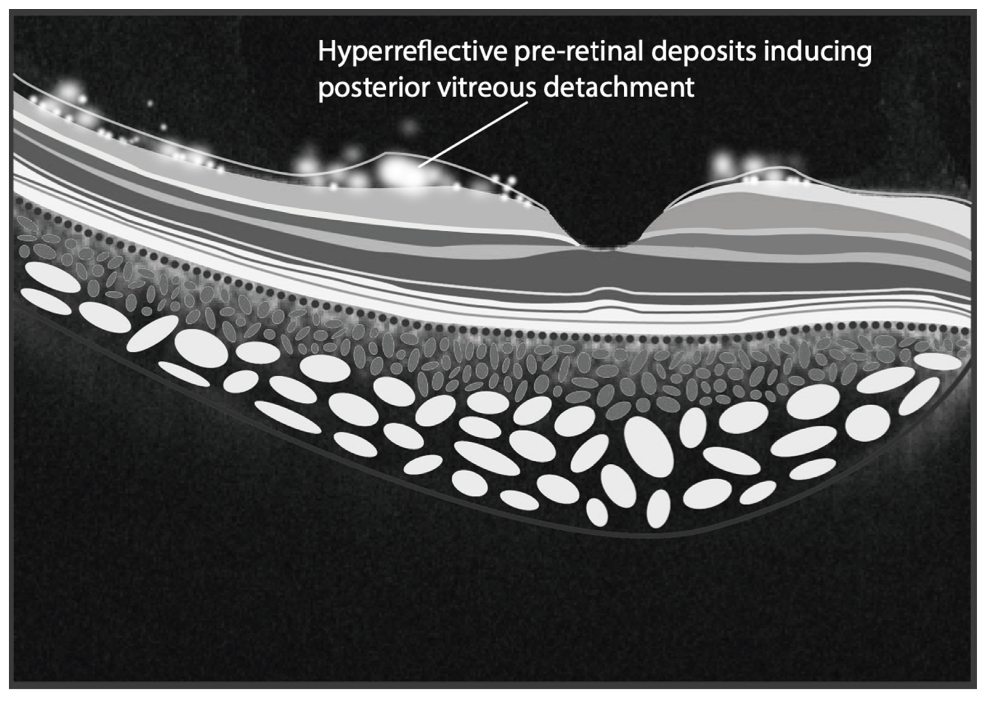 Applsci 15 02863 g002 Applsci 15 02863 g002