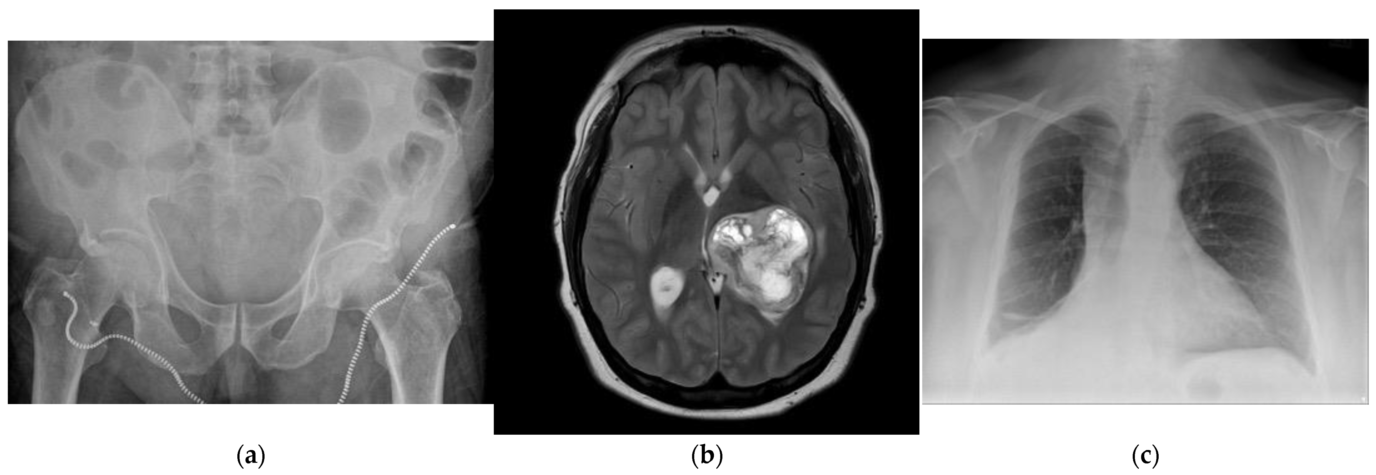 Applsci 15 02939 g008 Applsci 15 02939 g008
