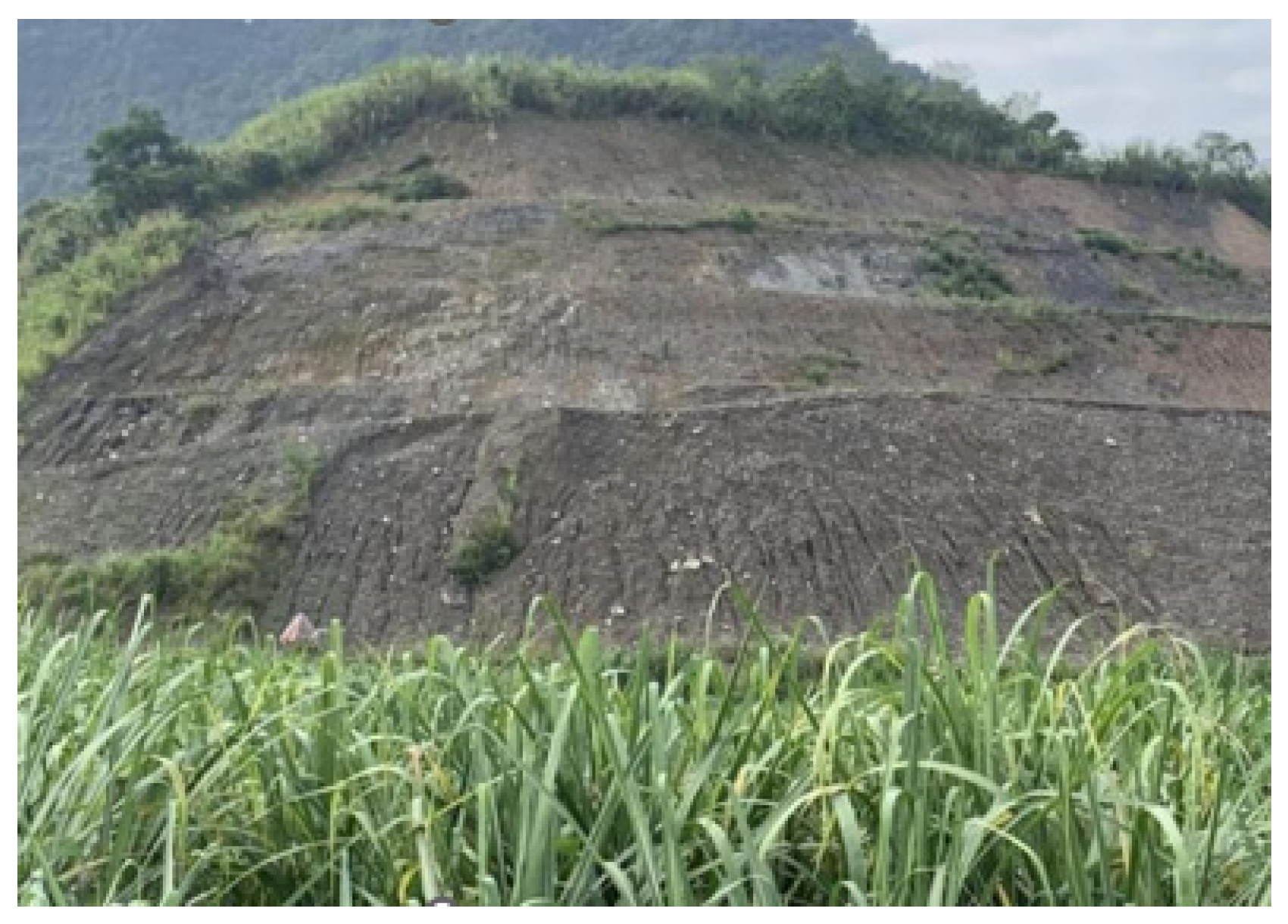 Applsci 15 02965 g001