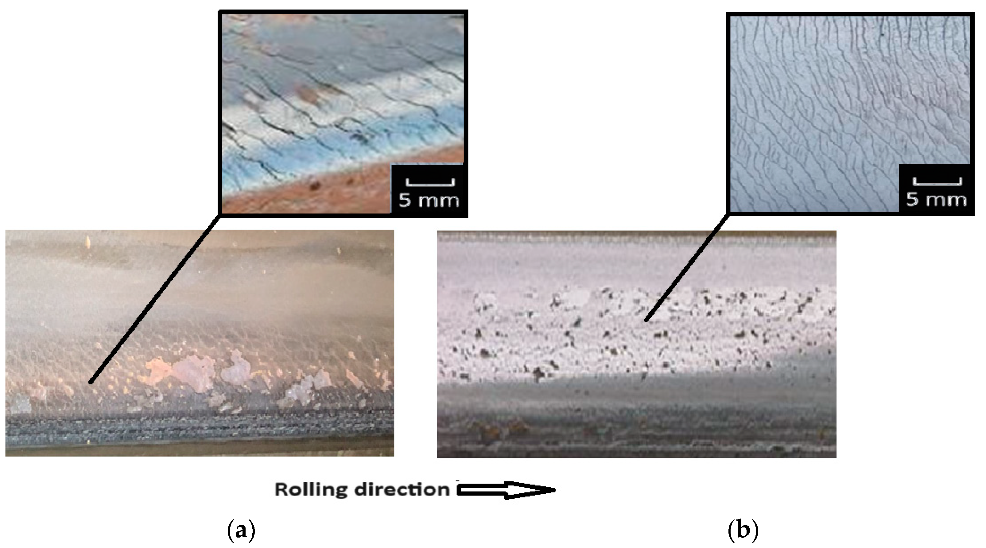 Applsci 15 02970 g001 Applsci 15 02970 g001