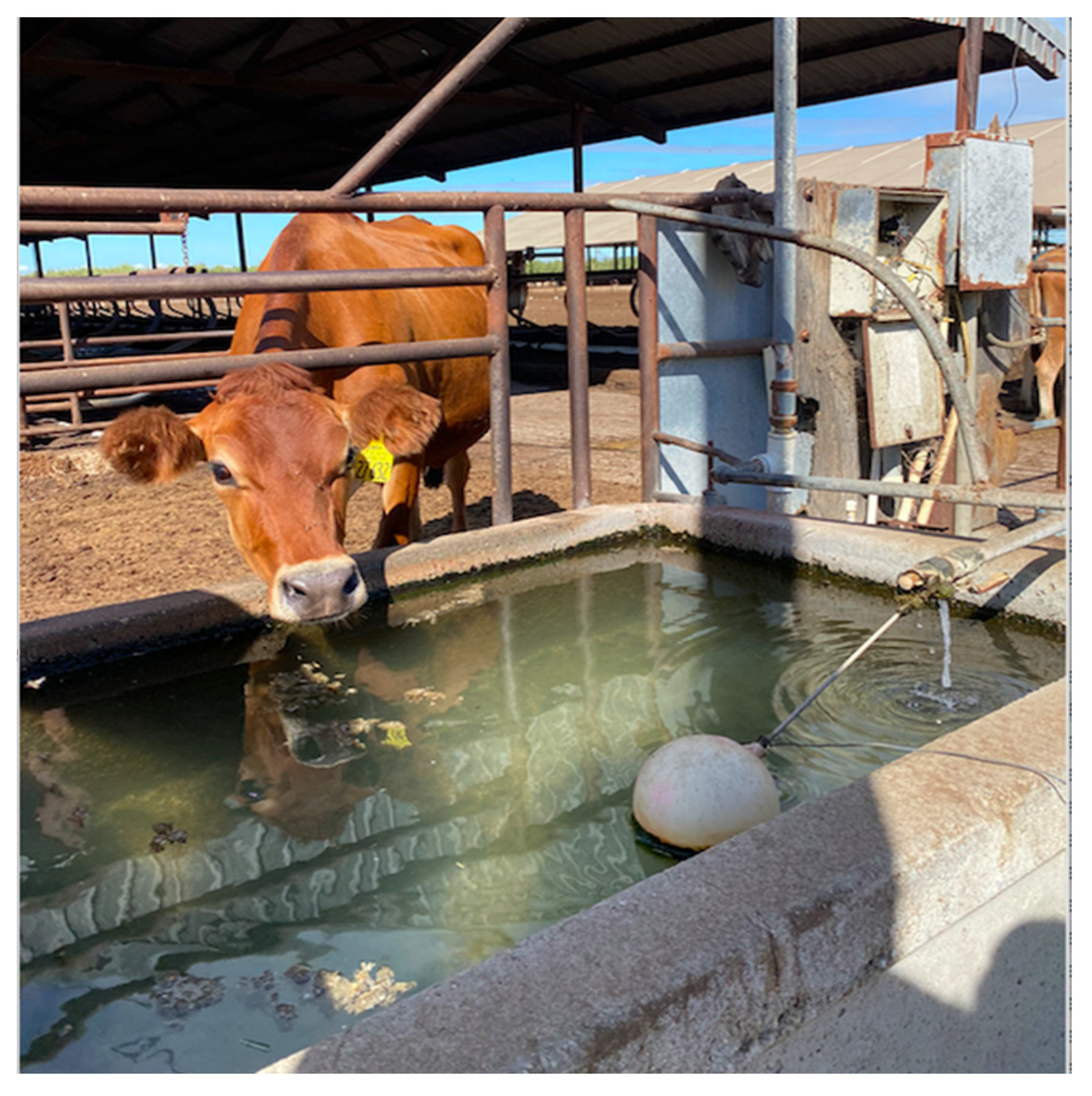 Applsci 15 03017 g001