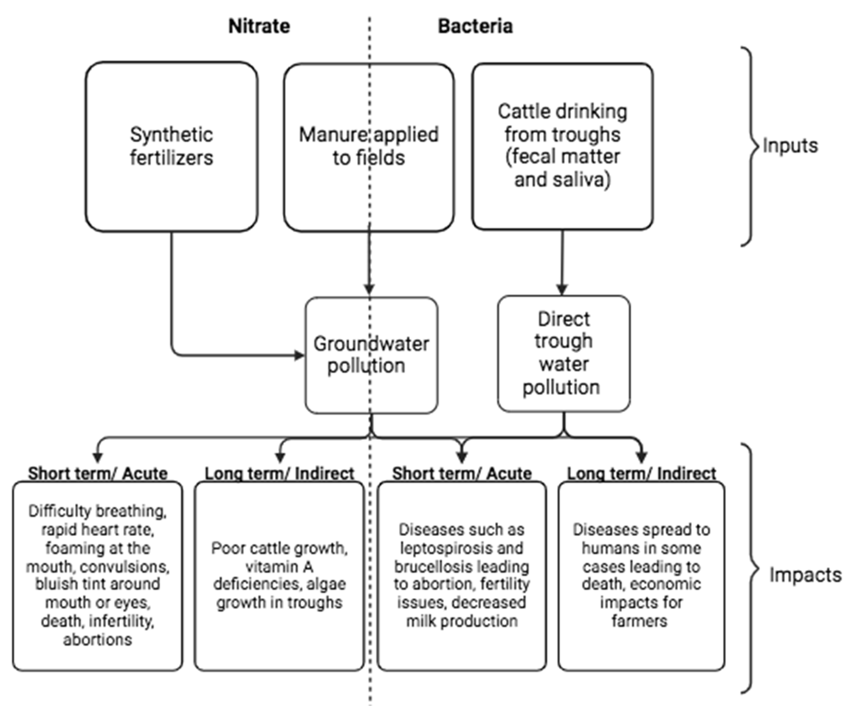 Applsci 15 03017 g002