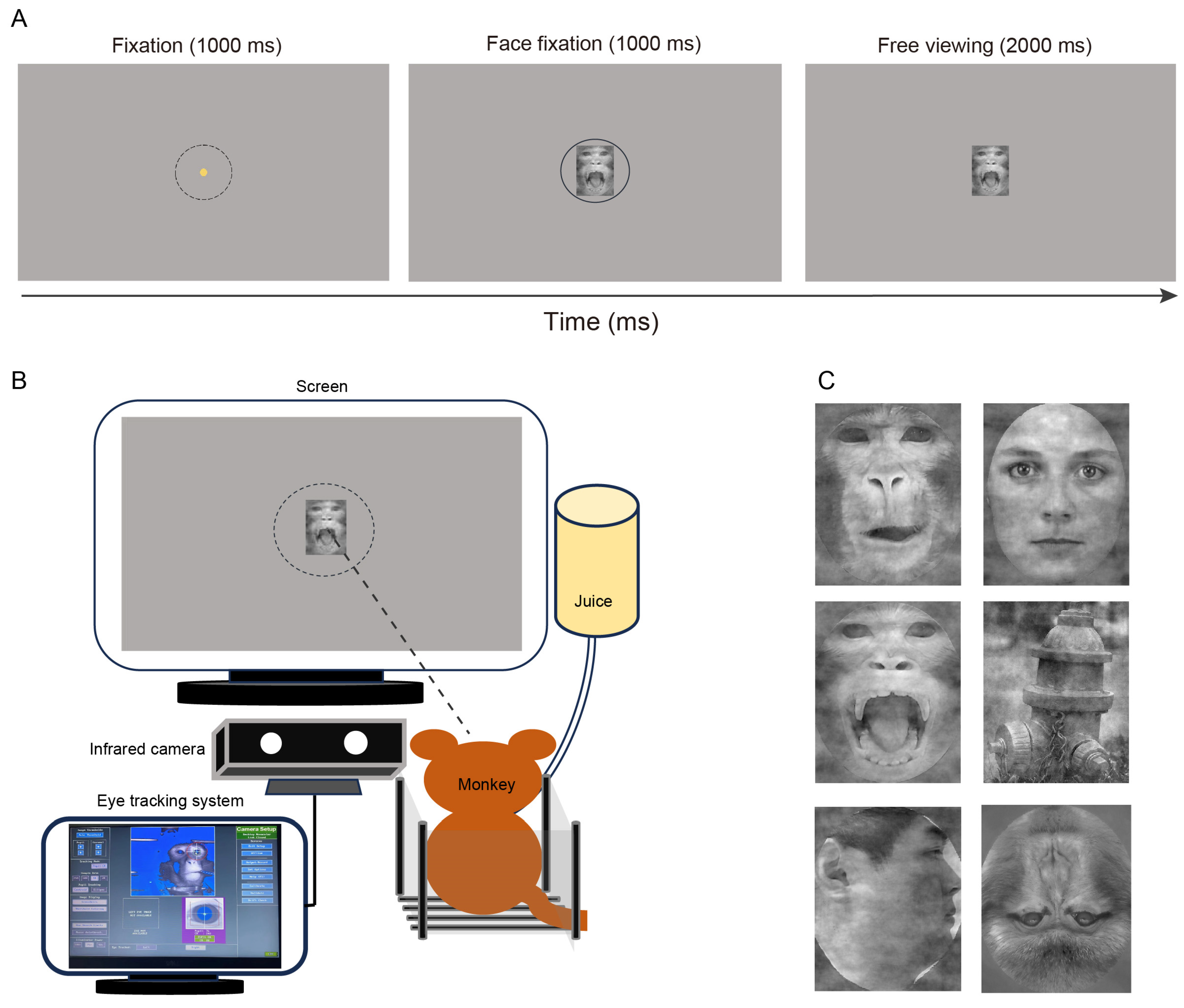 Applsci 15 03022 g001