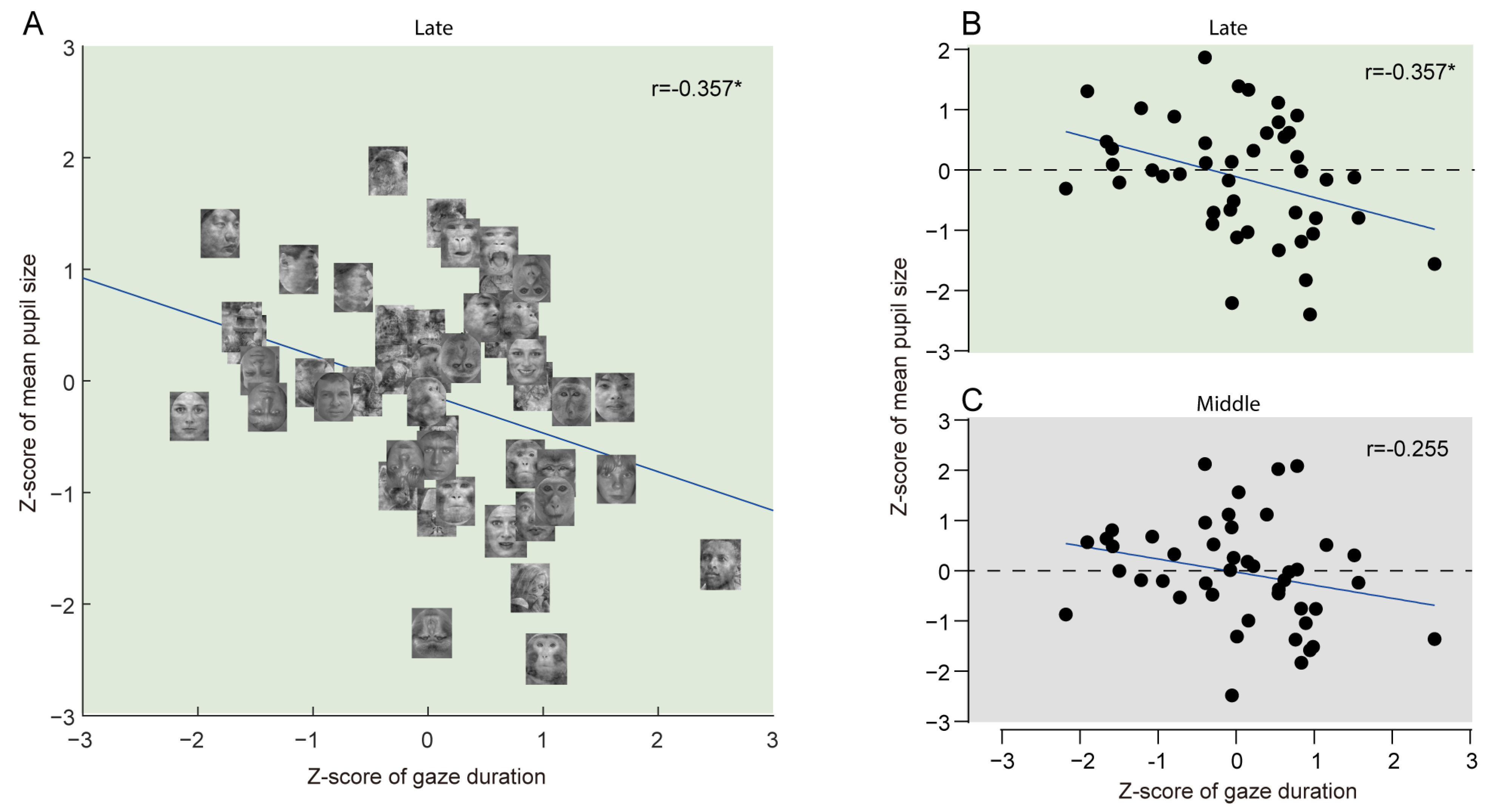 Applsci 15 03022 g006