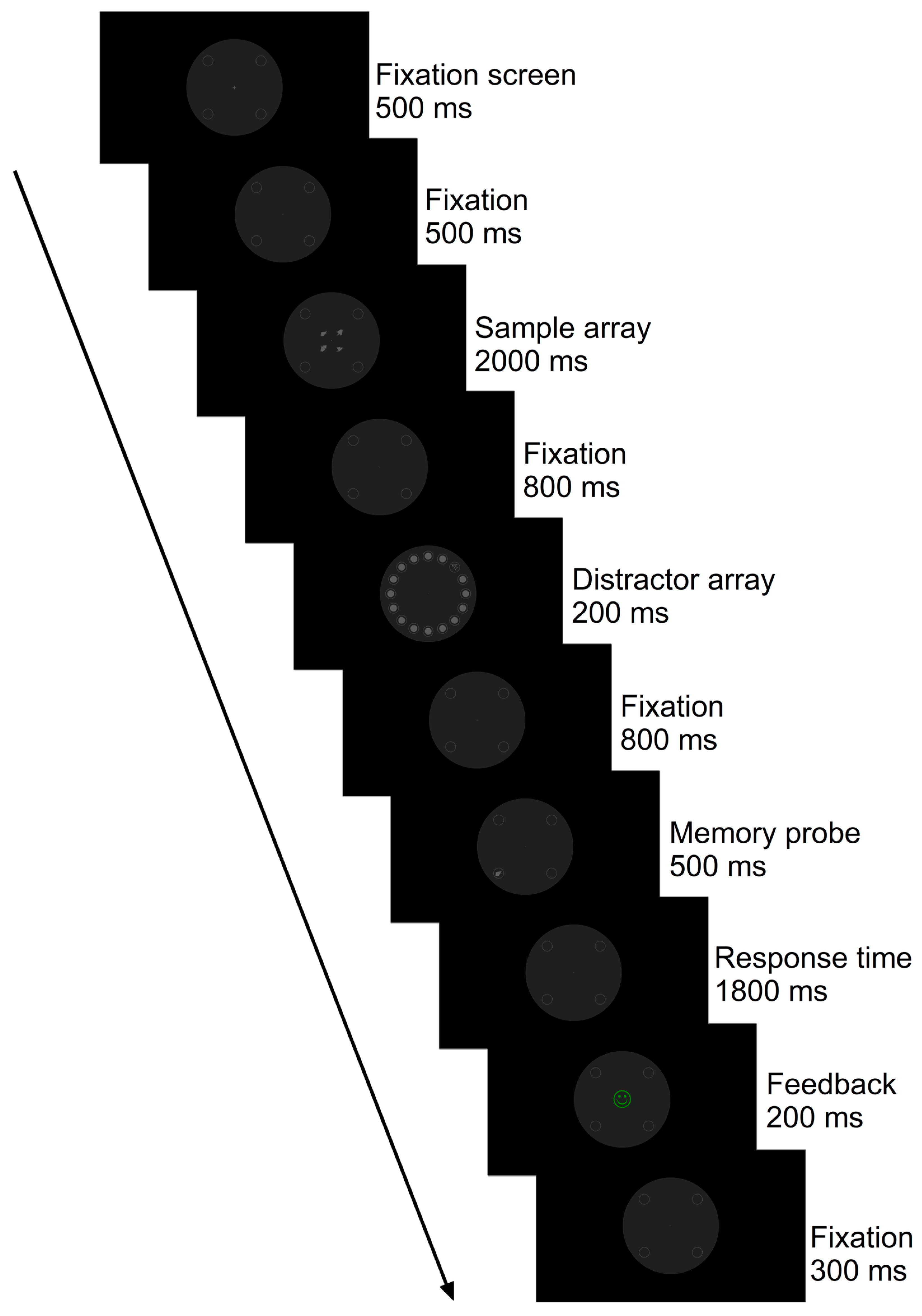 Applsci 15 03069 g001 Applsci 15 03069 g001