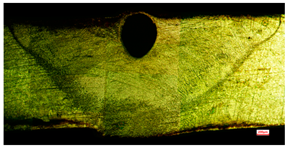 Applsci 15 03227 i004