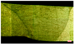 Applsci 15 03227 i008