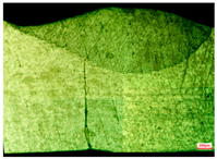 Applsci 15 03227 i010