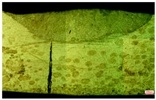 Applsci 15 03227 i011