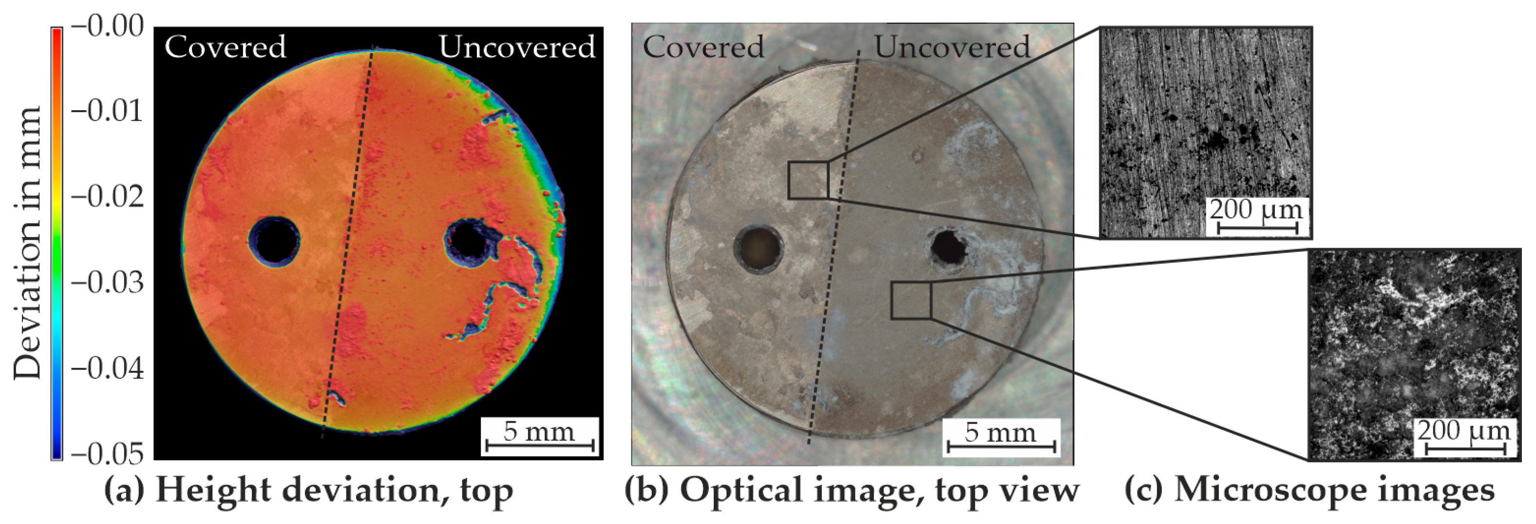 Applsci 15 03300 g015