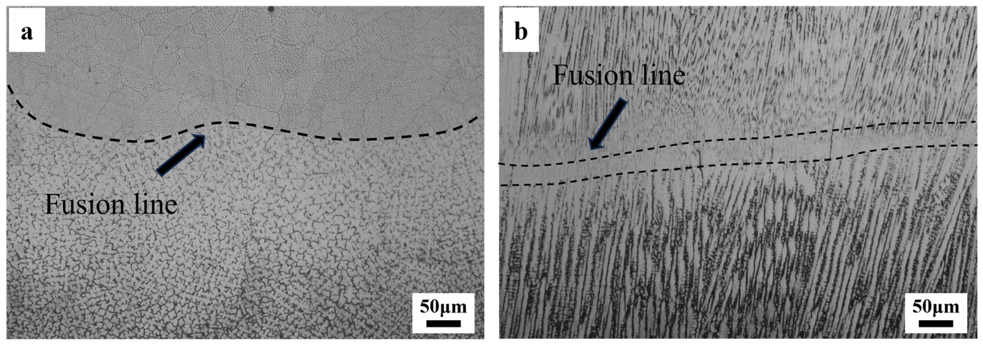 Applsci 15 03351 g007