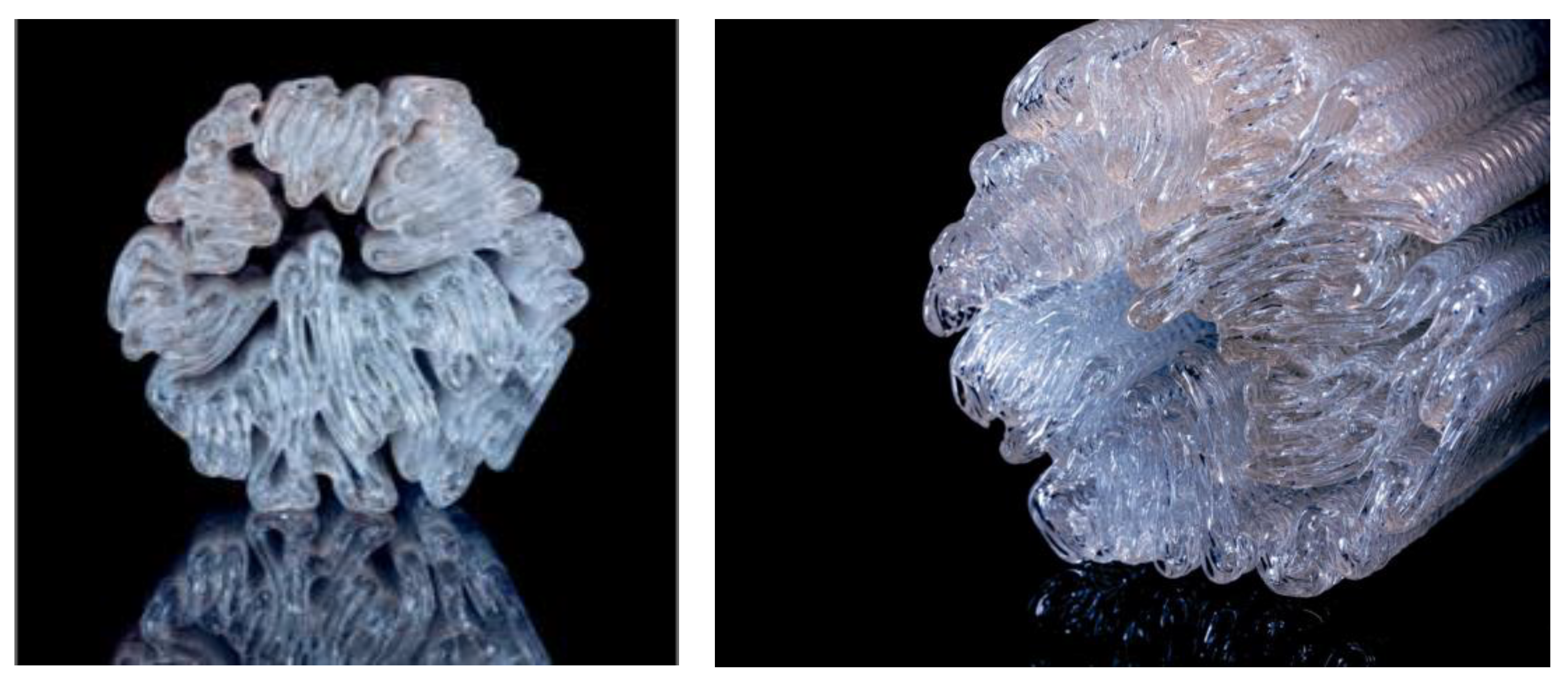 Applsci 15 03414 g005