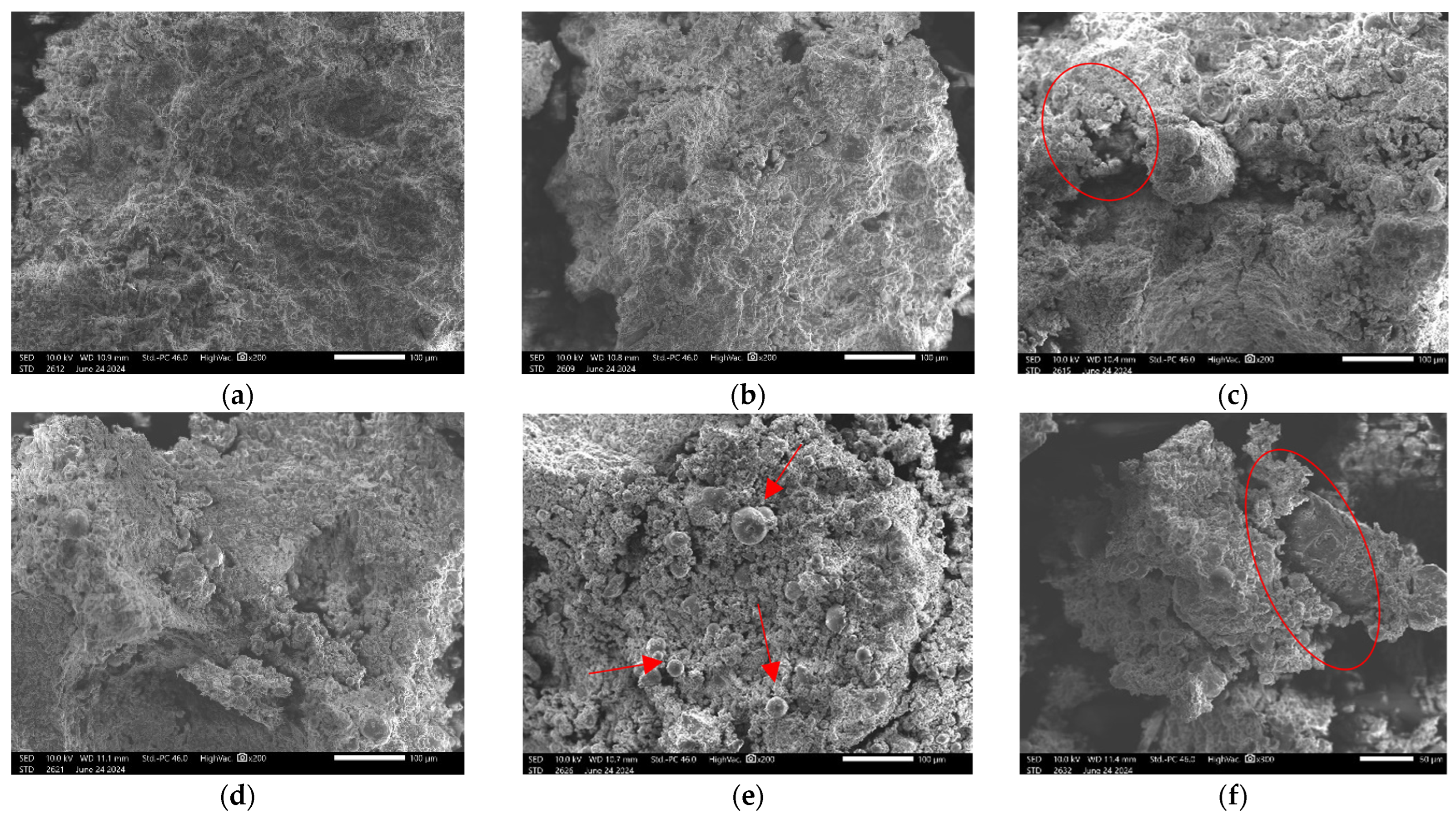 Applsci 15 03449 g017