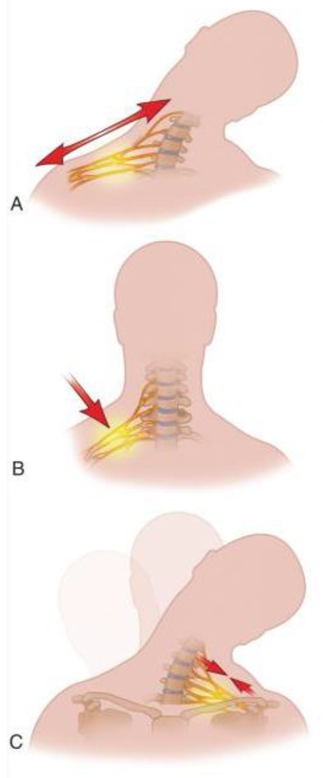 Applsci 15 03510 g002