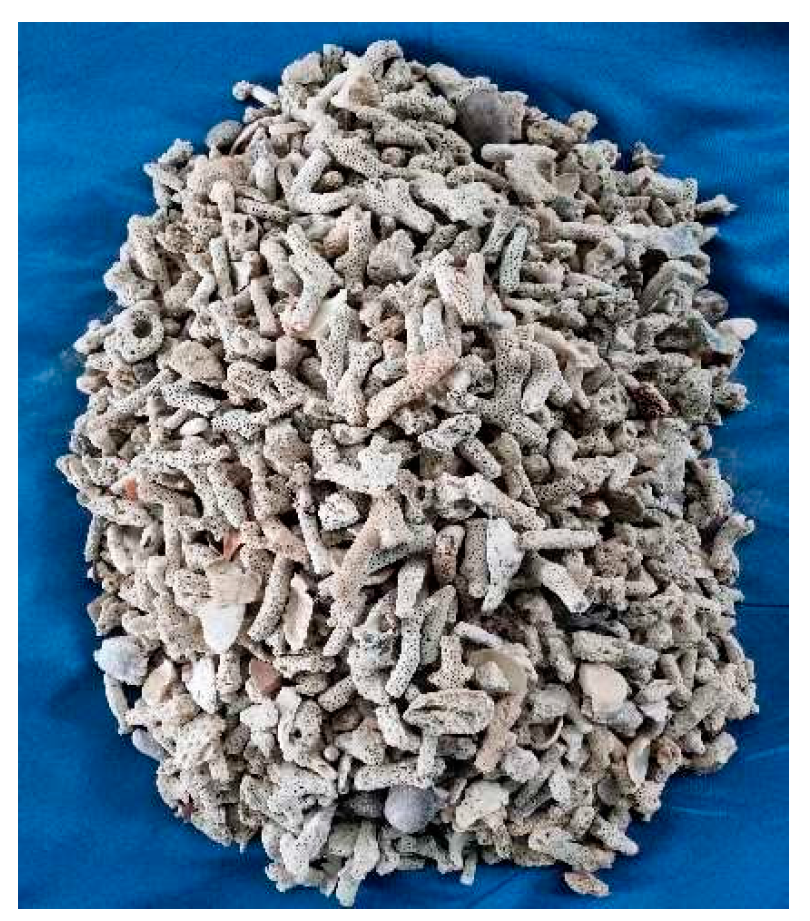 Applsci 15 03570 g001