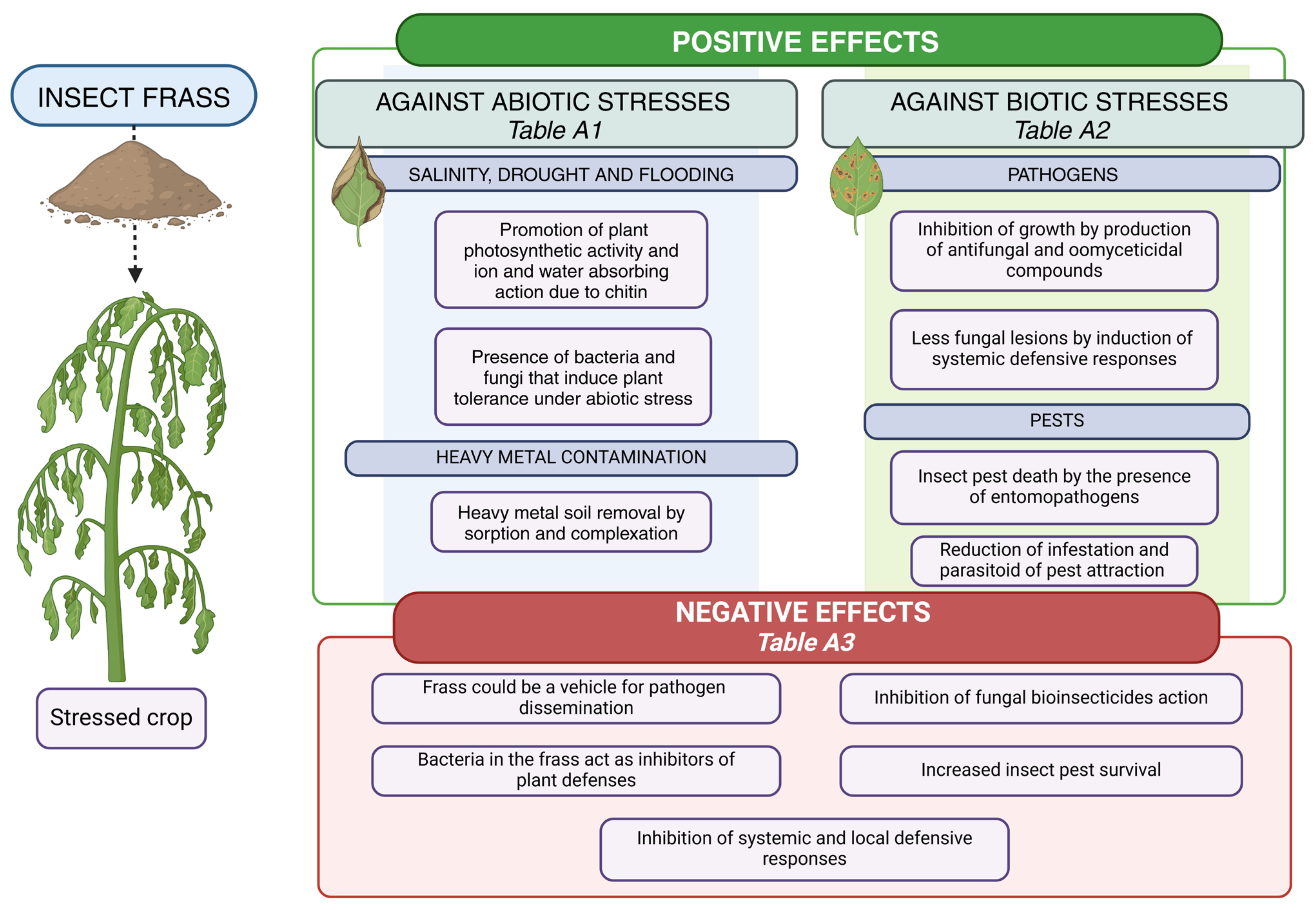Applsci 15 03606 g002