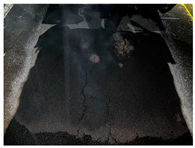 Applsci 15 03617 i004