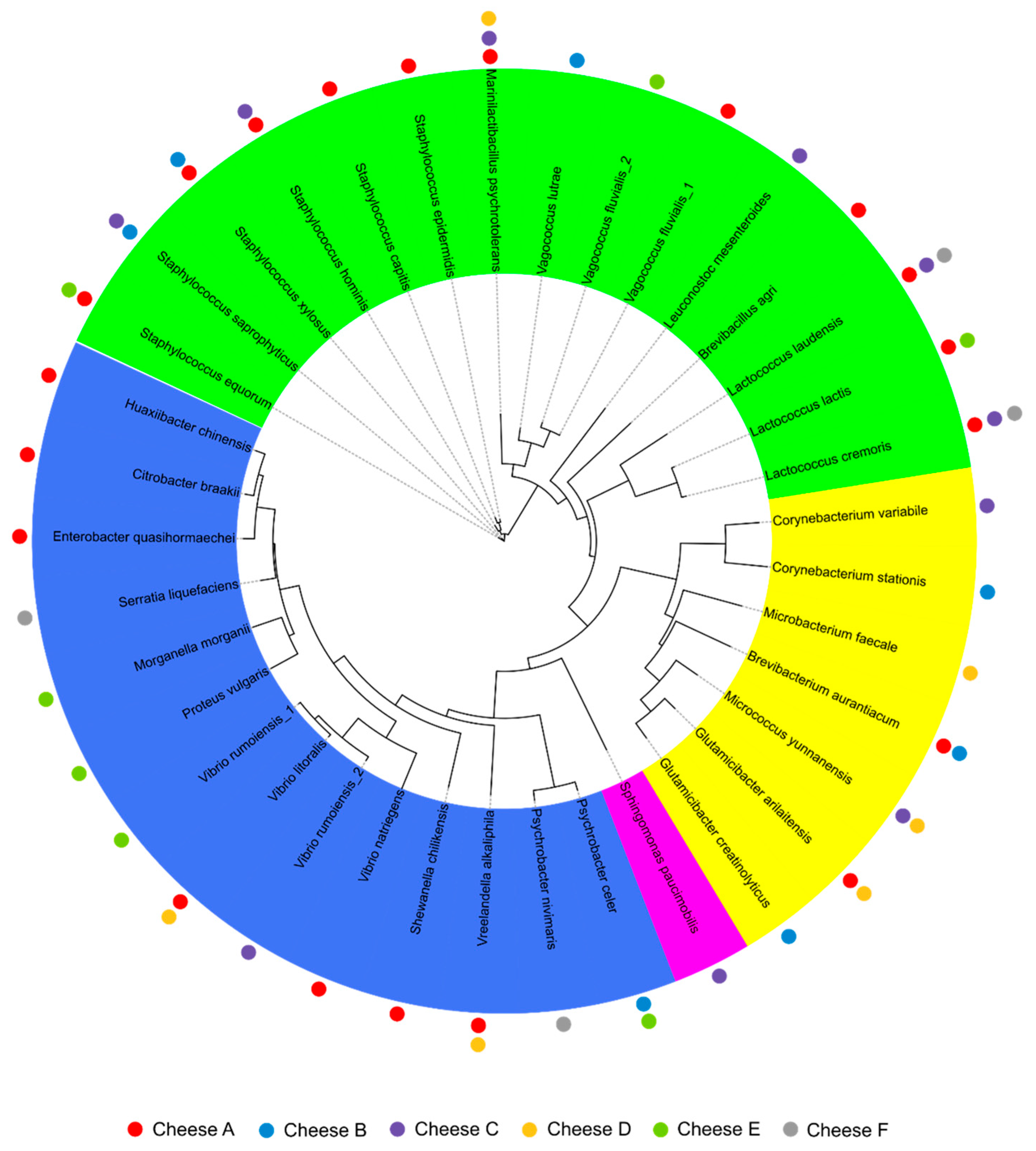 Applsci 15 03787 g004