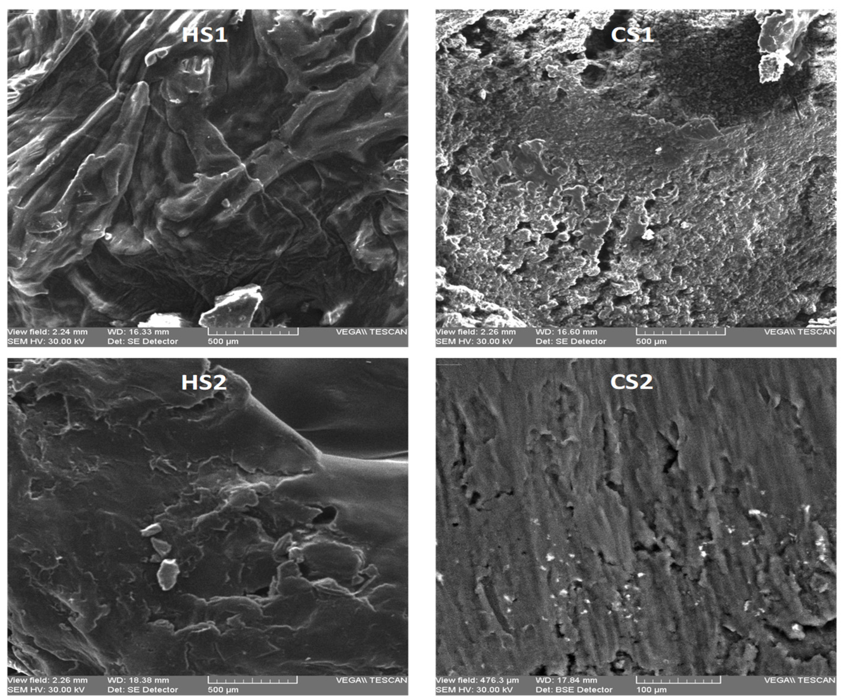 Applsci 15 03821 g004a