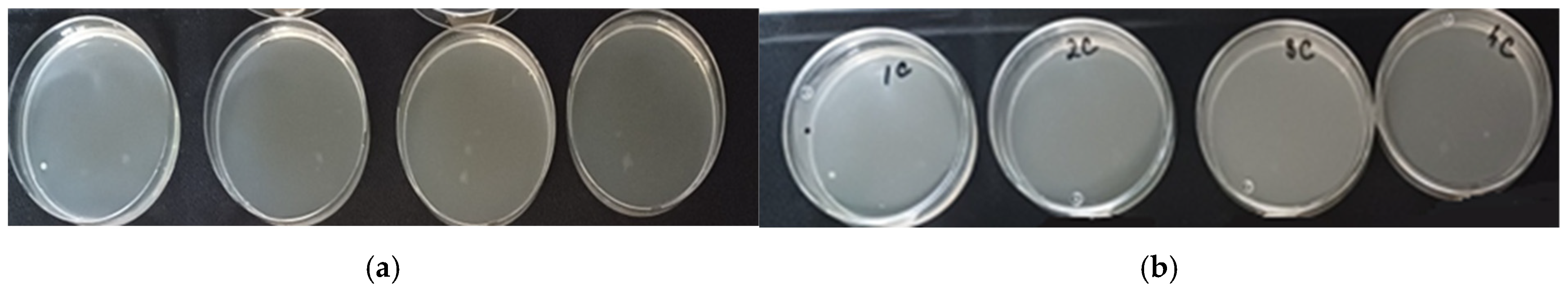 Applsci 15 03821 g012