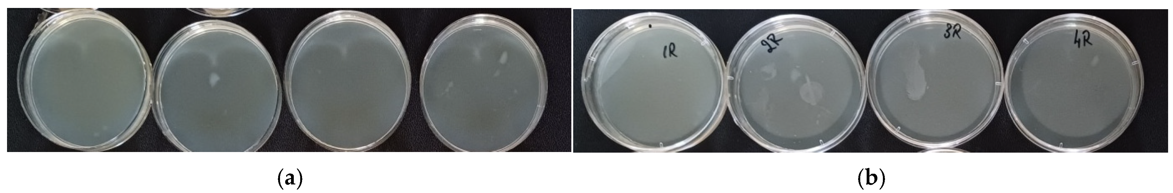 Applsci 15 03821 g013