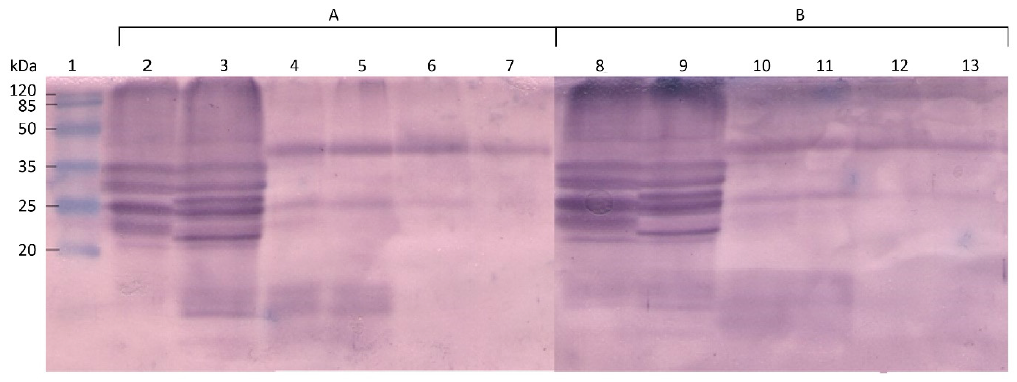 Applsci 15 03887 g004