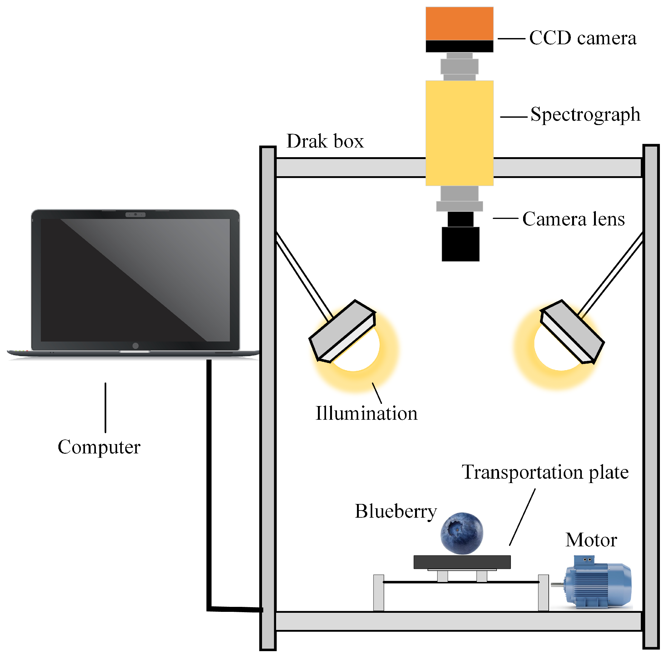 Applsci 15 03888 g001