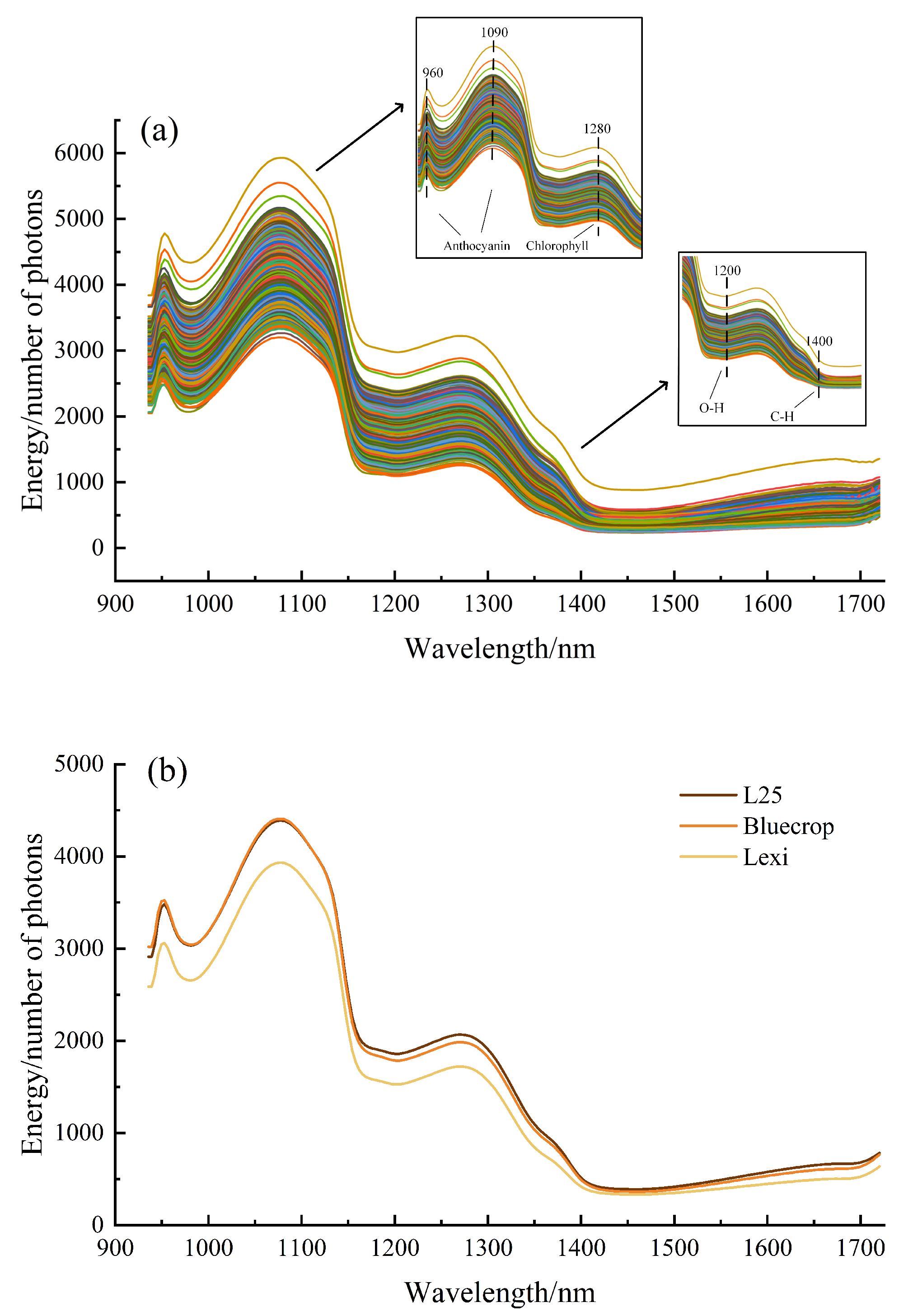 Applsci 15 03888 g002a
