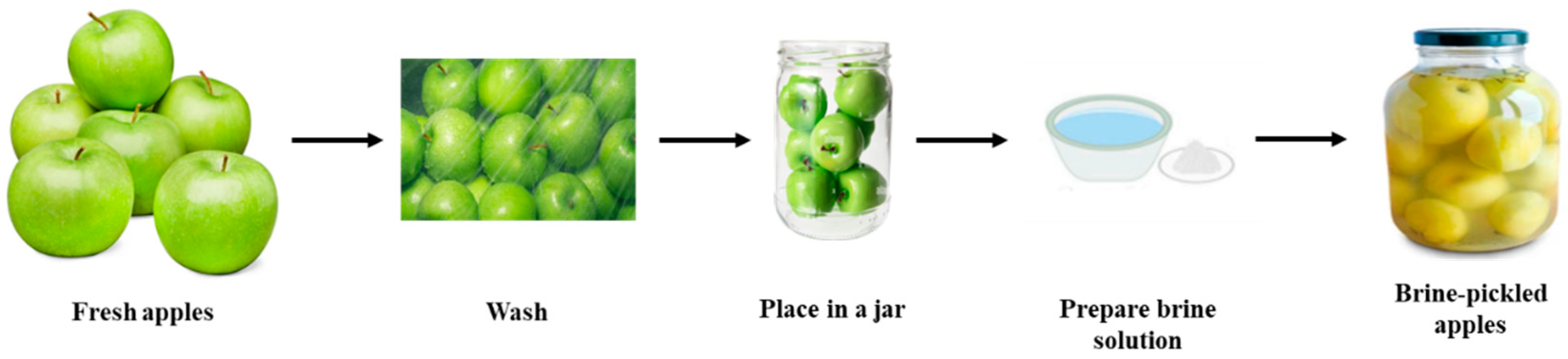 Applsci 15 03924 g001 Applsci 15 03924 g001