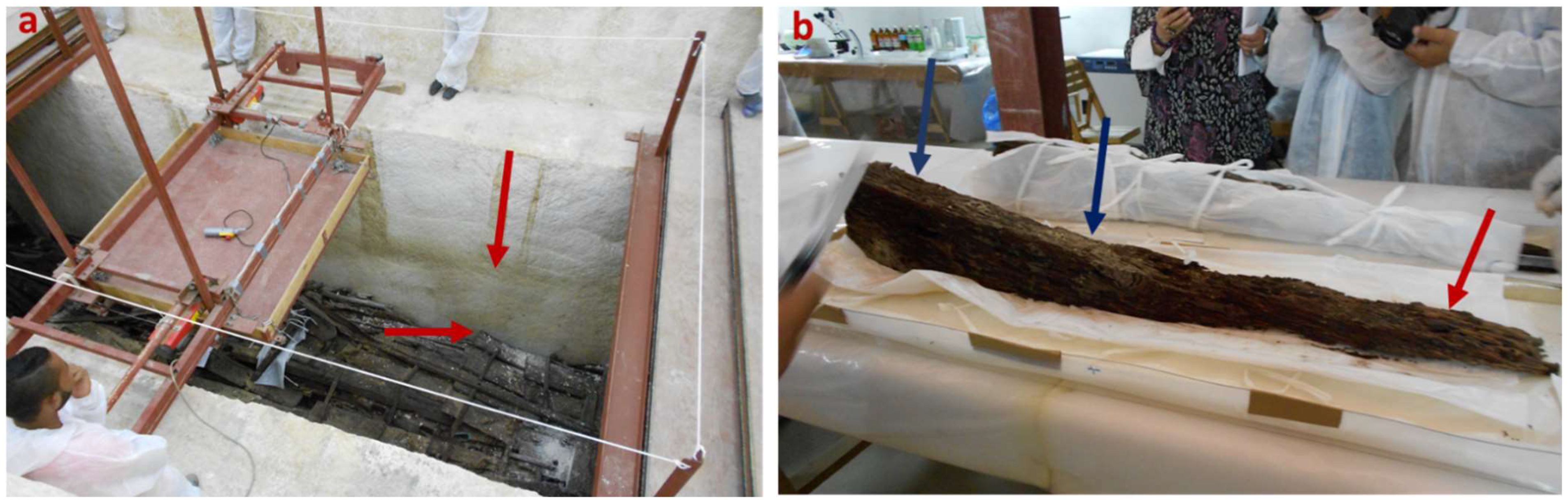 Applsci 15 03952 g001