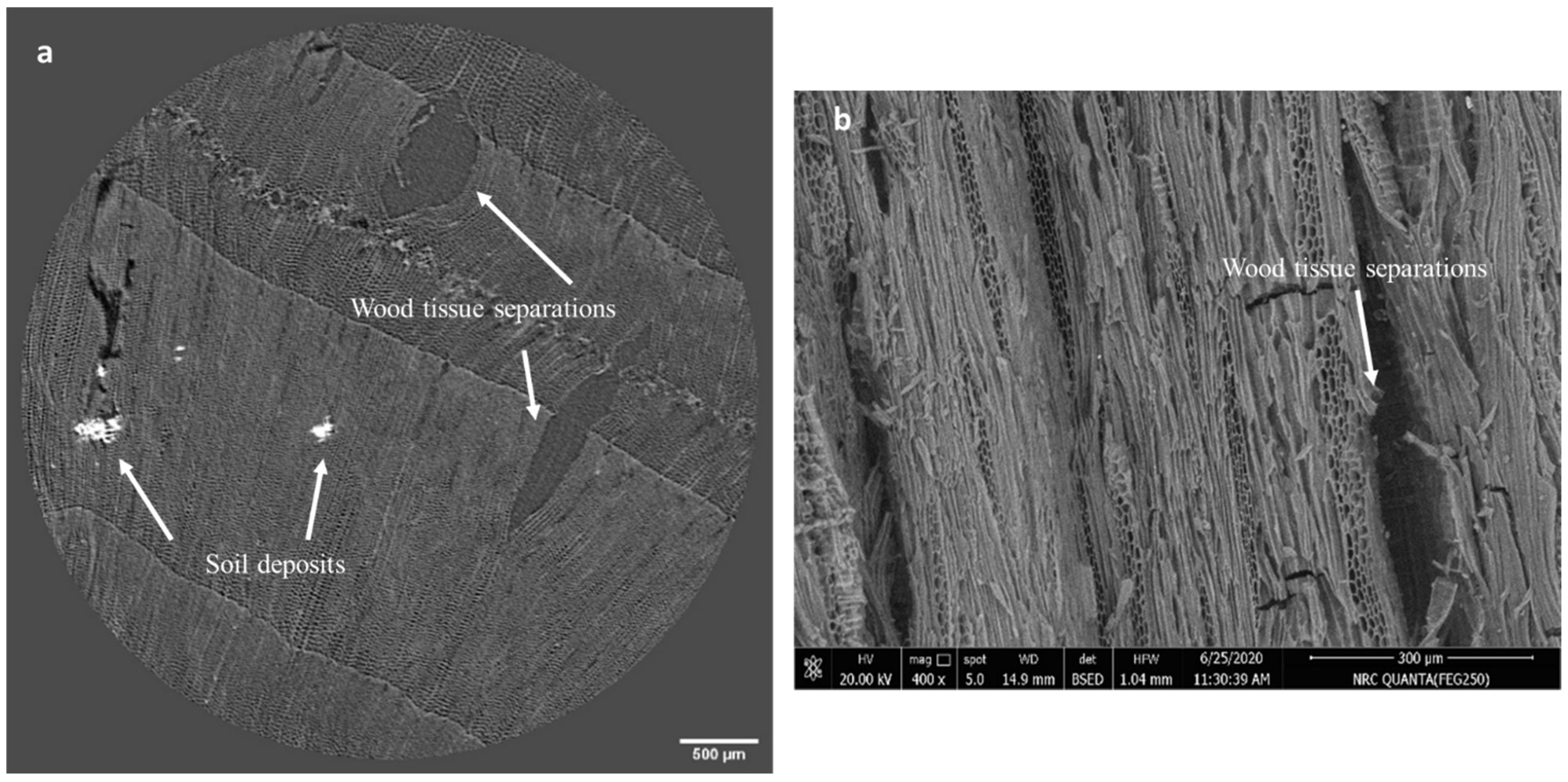 Applsci 15 03952 g002