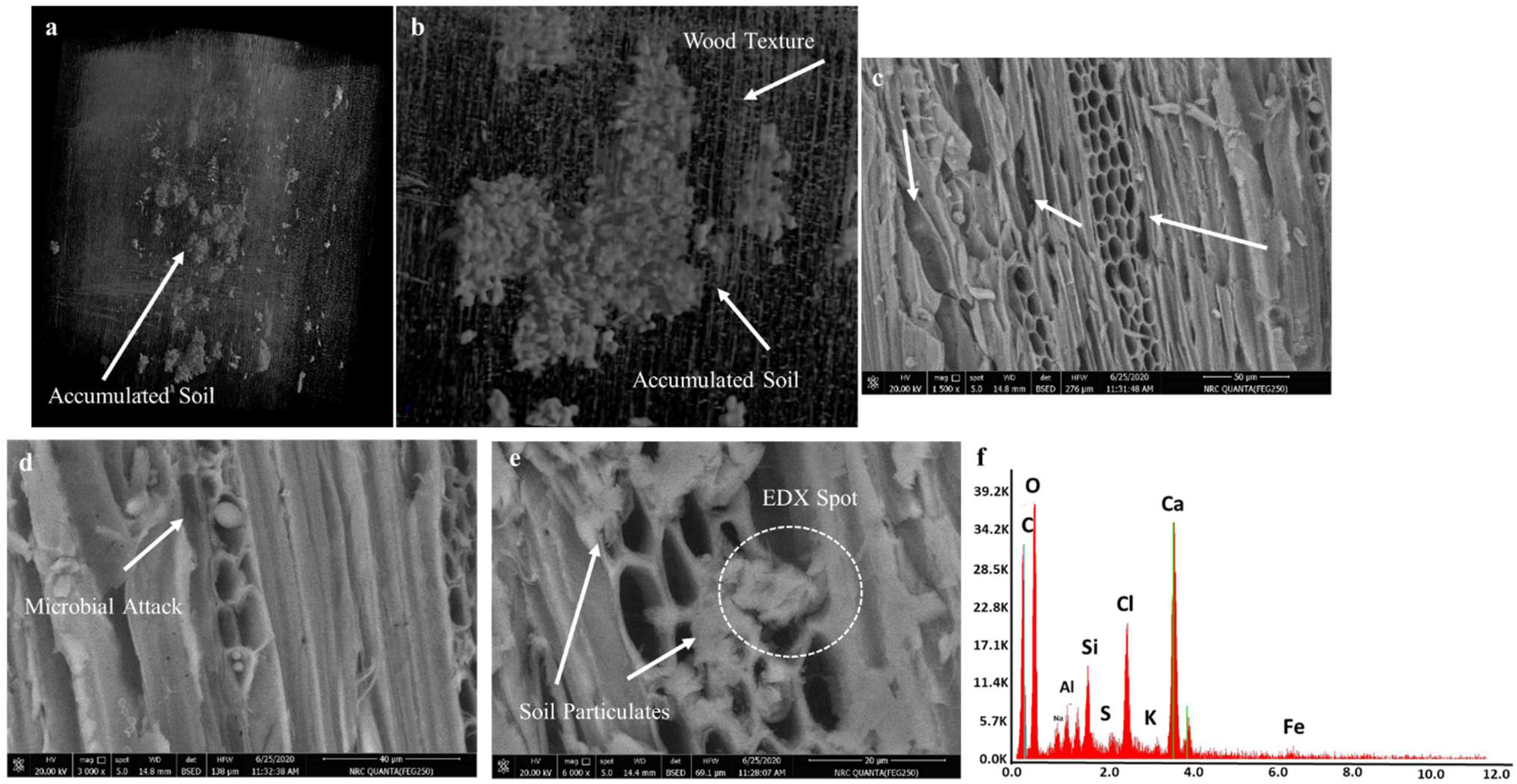 Applsci 15 03952 g004