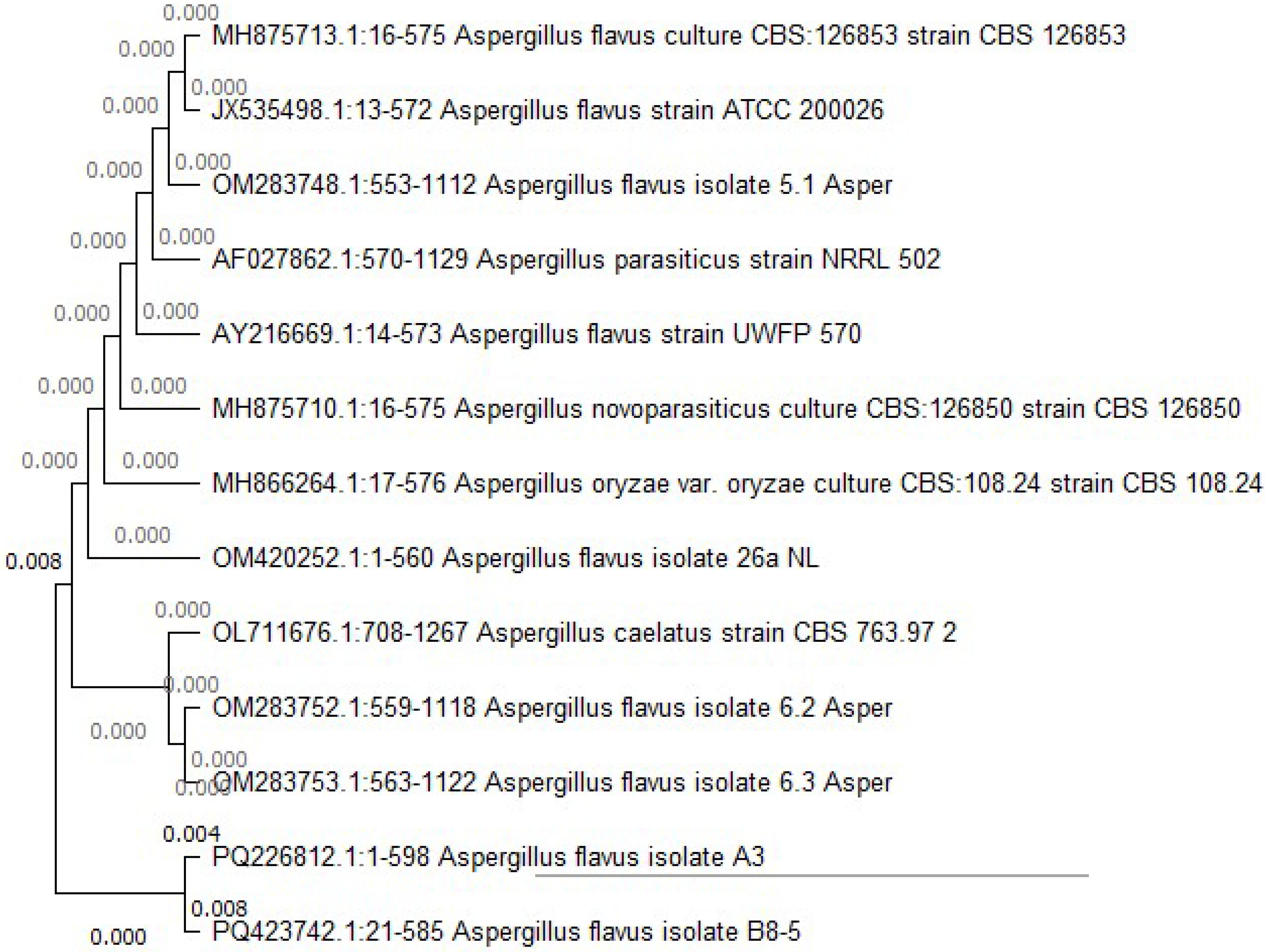 Applsci 15 03952 g006