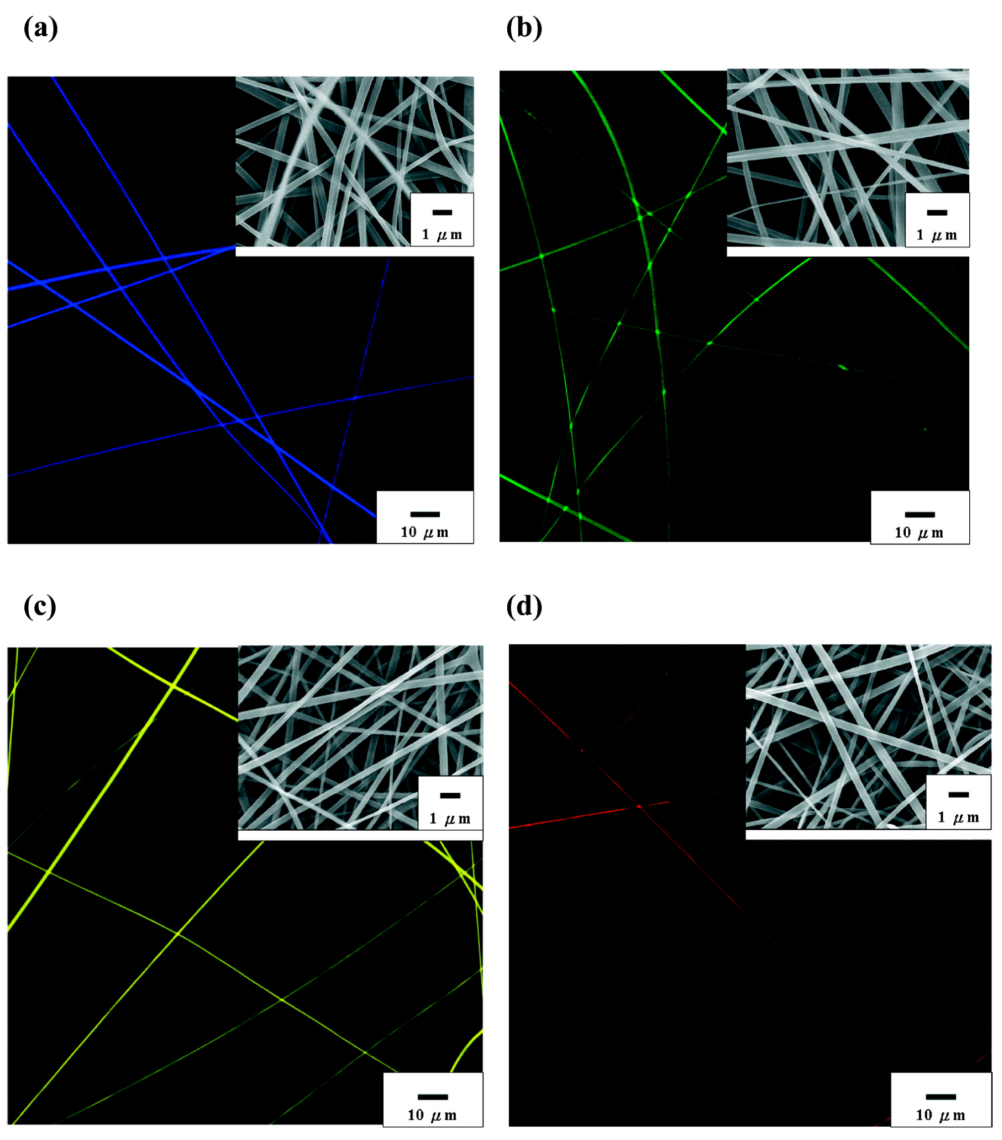 Applsci 15 04028 g002 Applsci 15 04028 g002