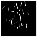 Applsci 15 04314 i005