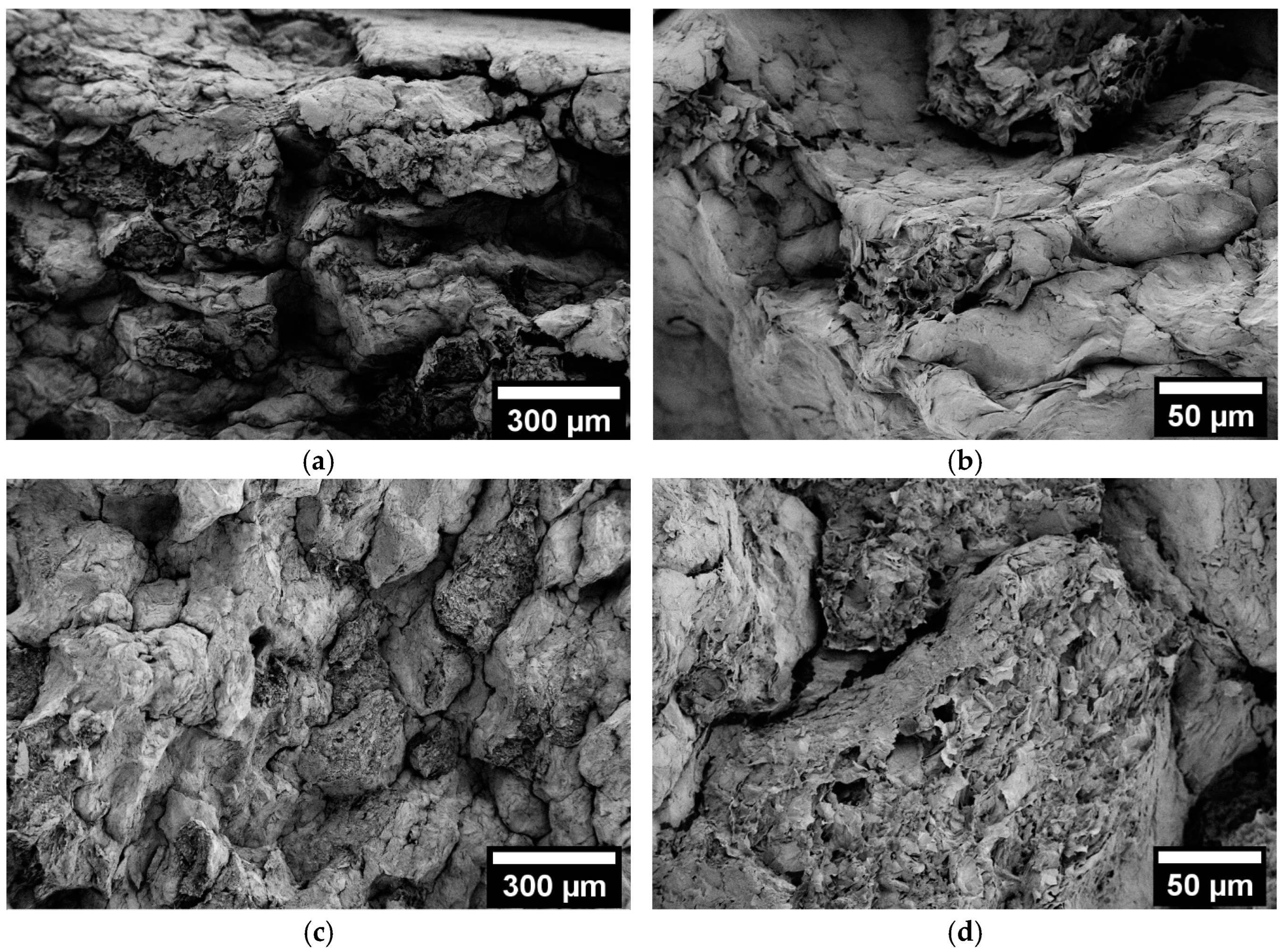 Applsci 15 04352 g005a